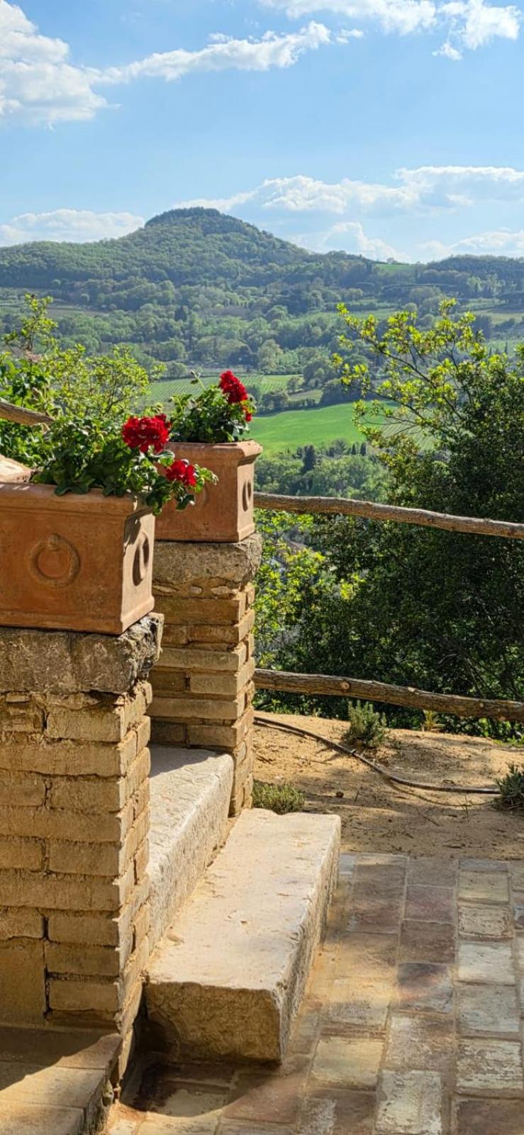 Suite with Garden View