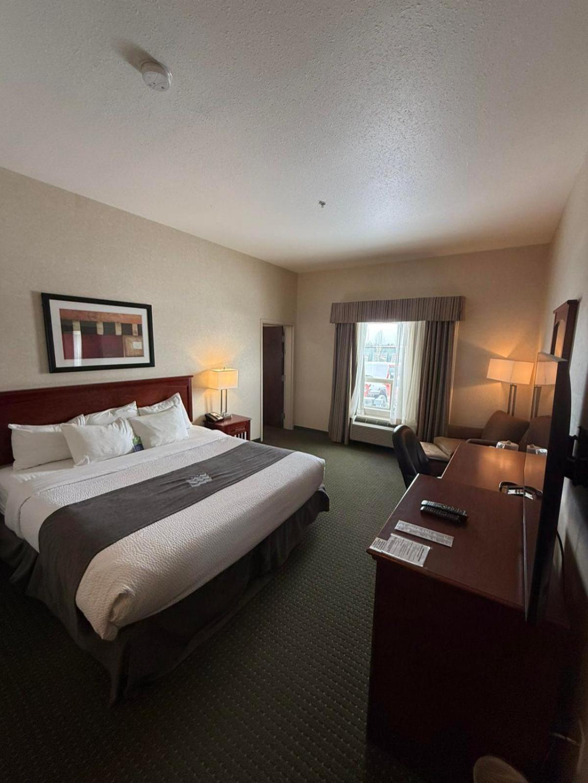 King Suite photo 1