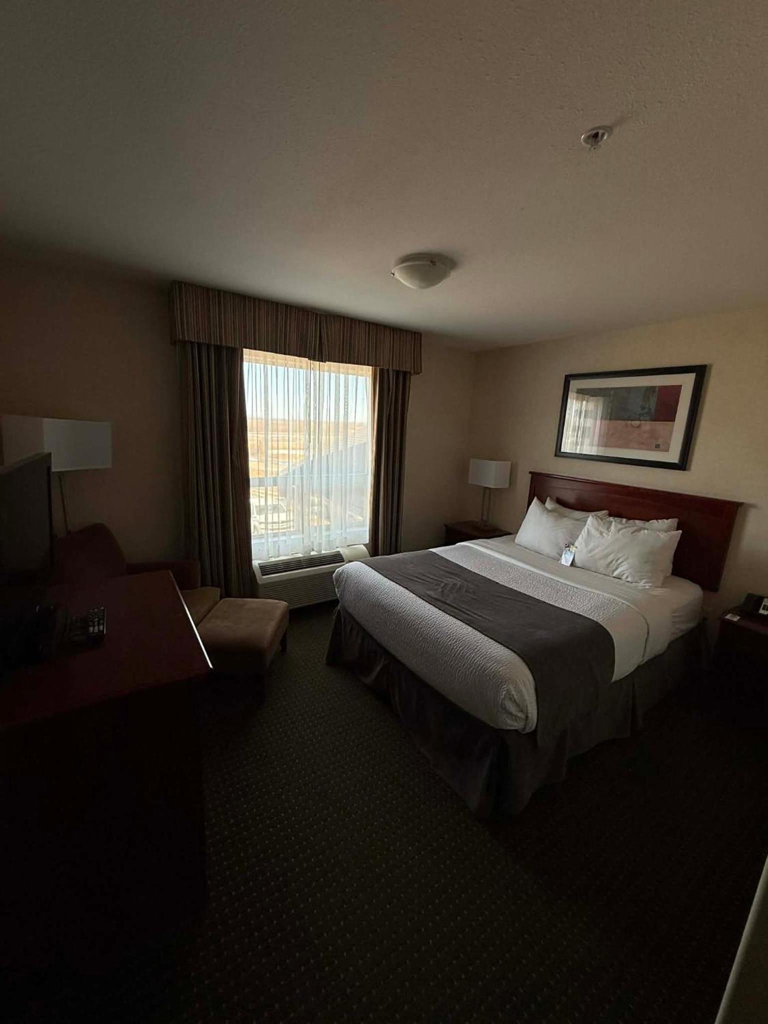 Executive Suite photo 2