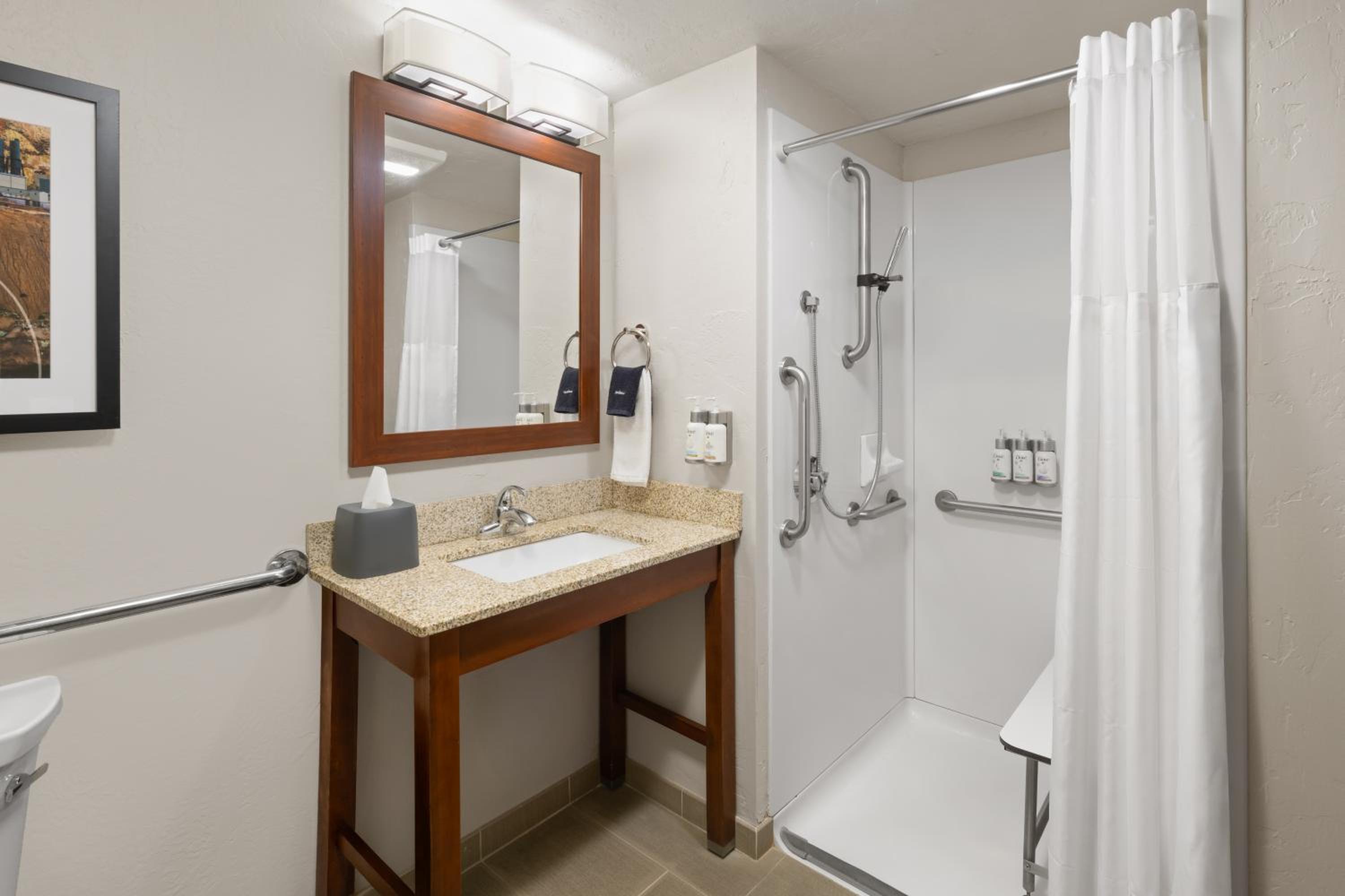 Queen Room with Accessible Transfer Shower - Non-Smoking photo 3