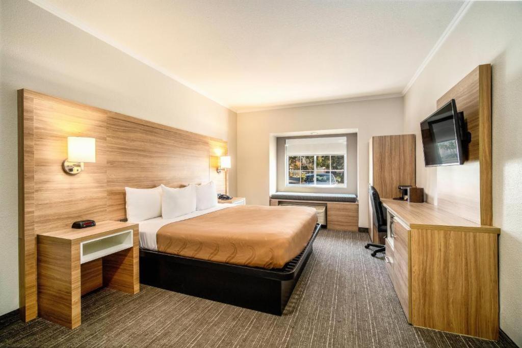 King Room - Non-Smoking - Photo 1