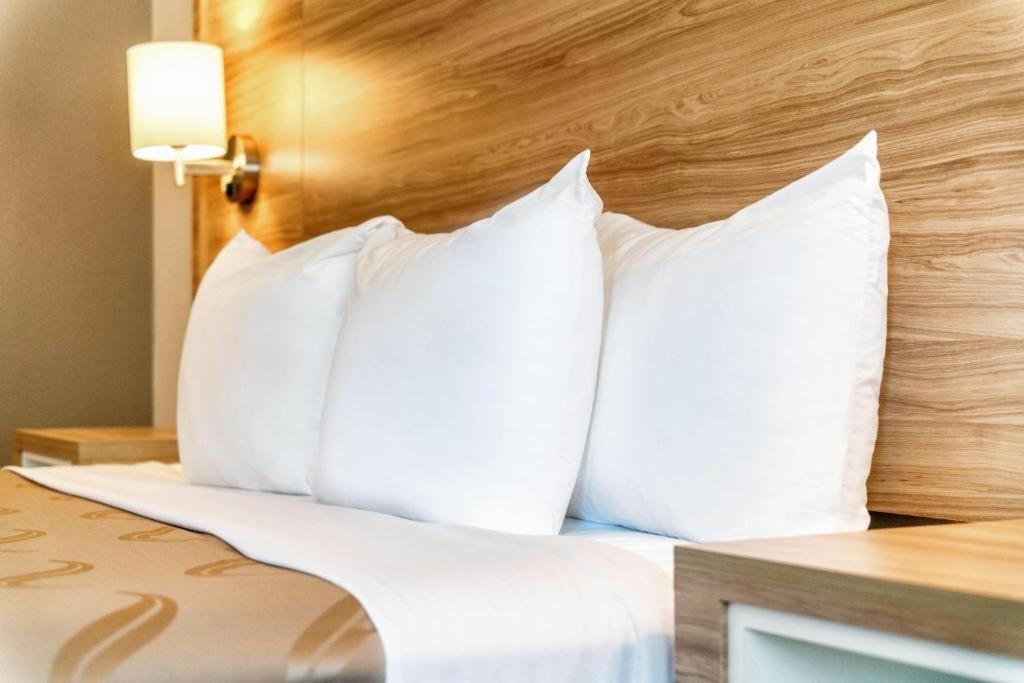 King Room - Non-Smoking - Photo 3