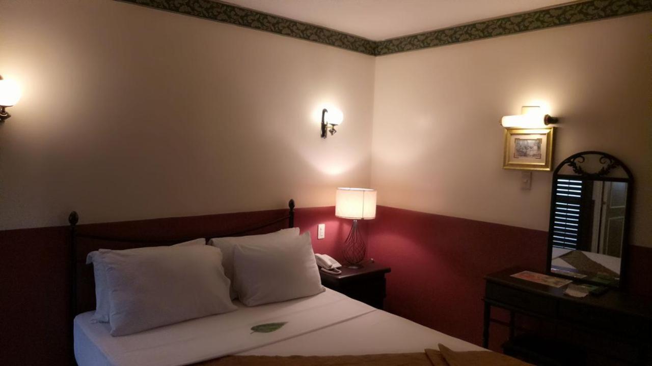 Standard  Room photo 1
