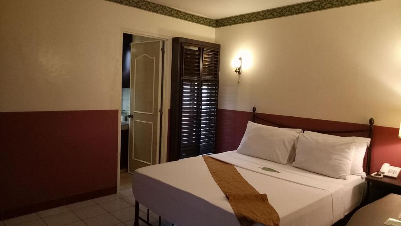 Standard  Room photo 3