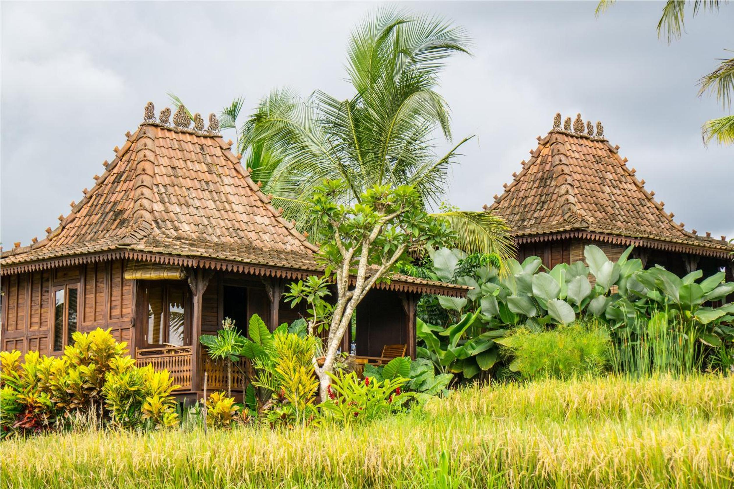One-Bedroom Villa - Photo 109