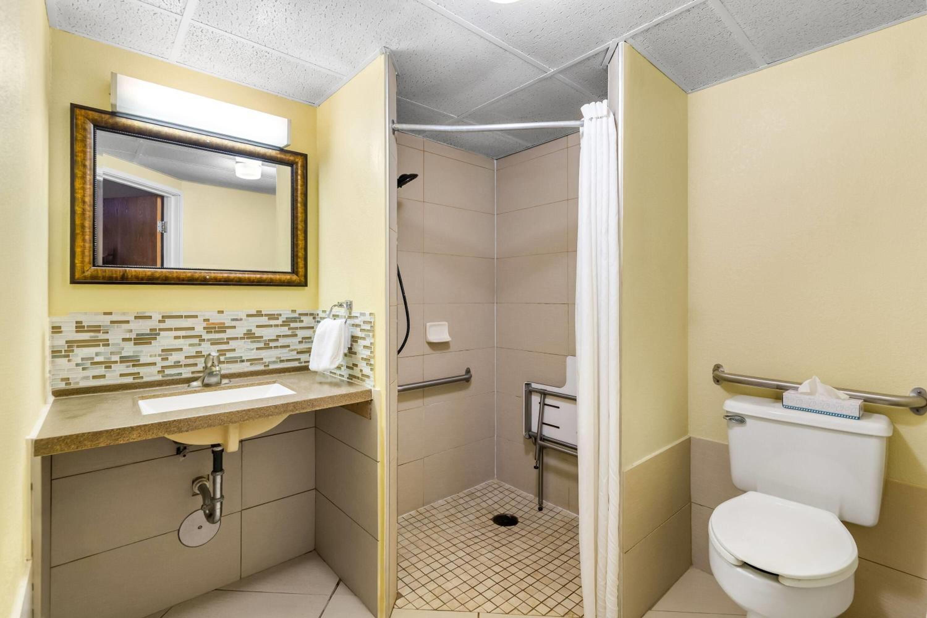 King Suite with Roll-In Shower - Mobility Accessible/Non-Smoking photo 1