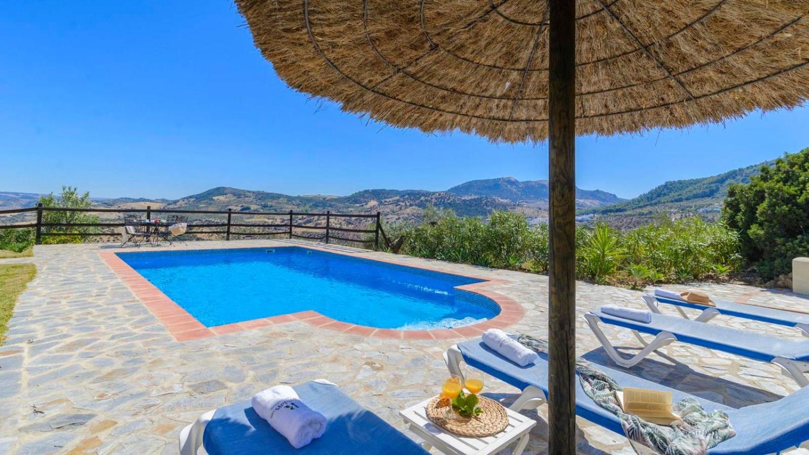 Three-Bedroom Villa photo 2
