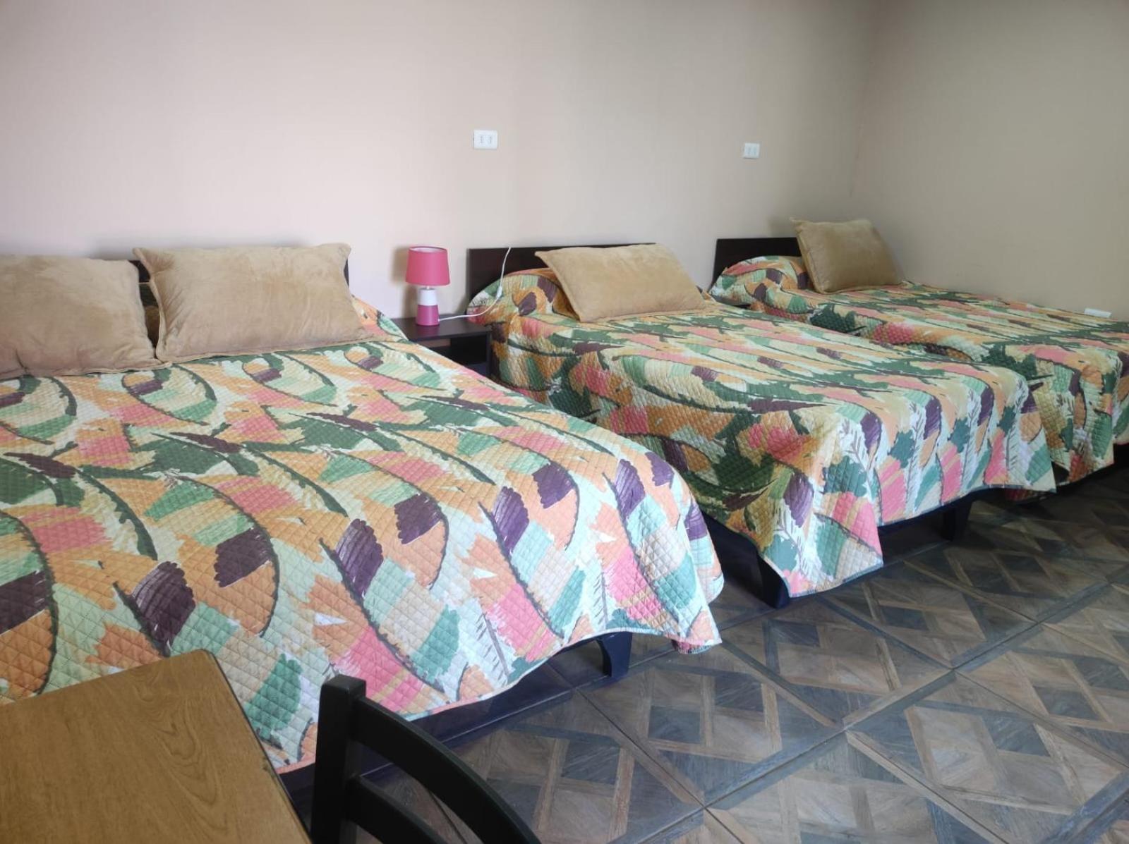 Two-Bedroom Apartment with Balcony and Terrace photo 1