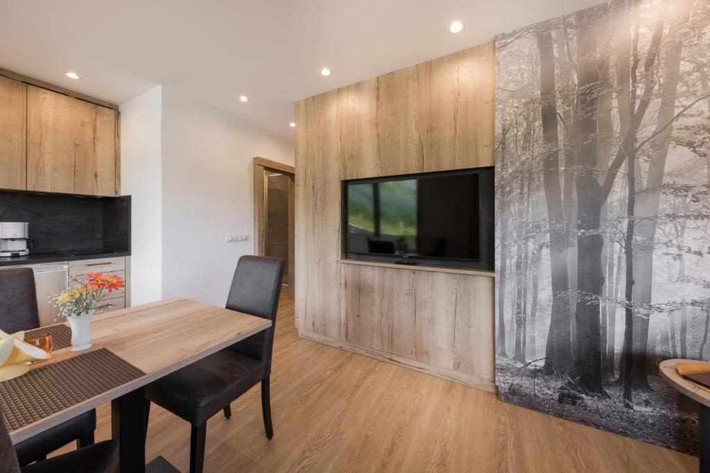 Apartment with Mountain View photo 3