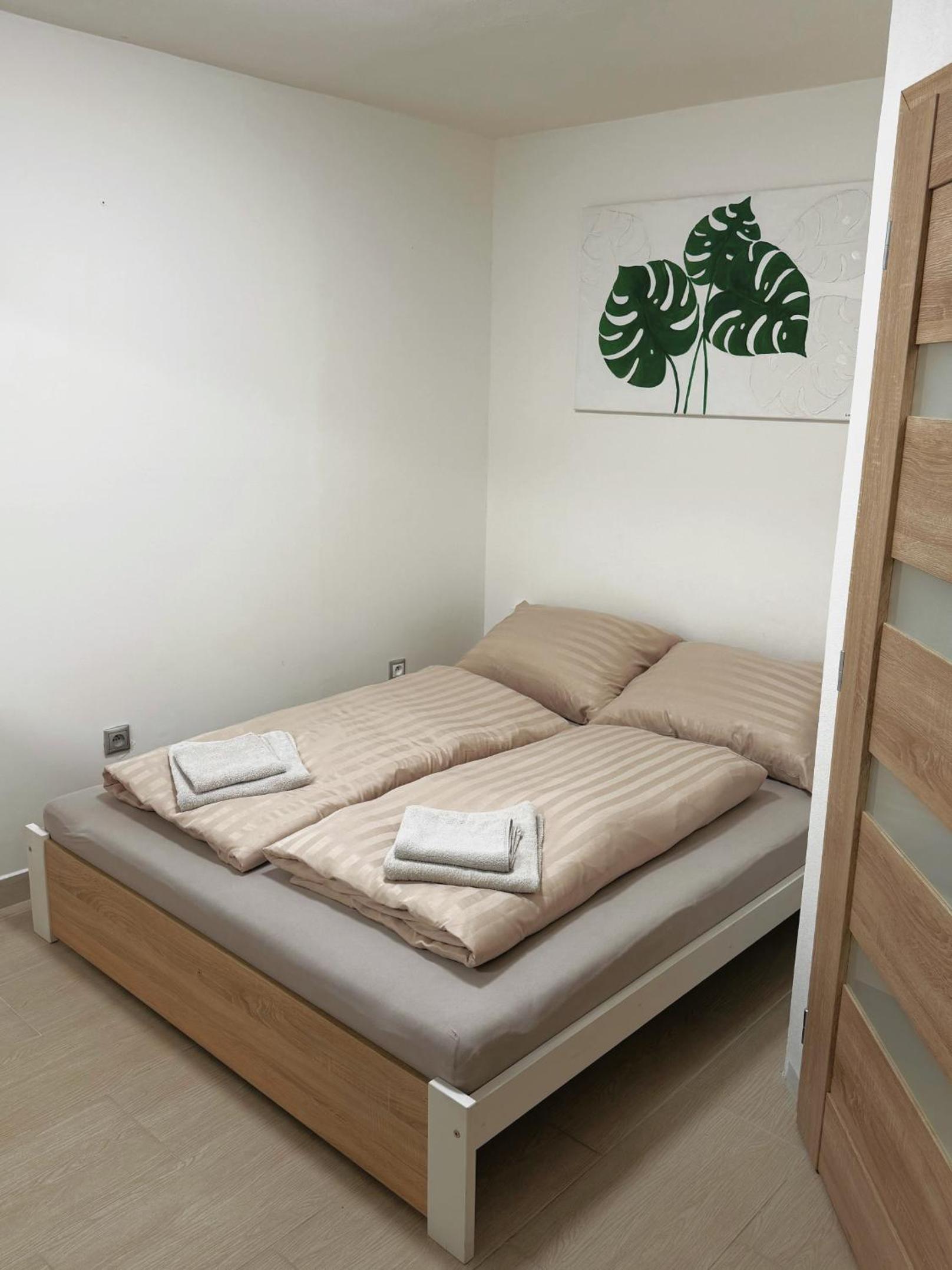 Junior Suite with Terrace