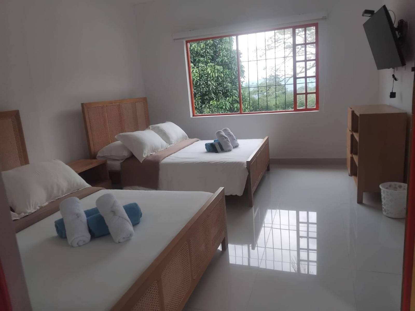 Double or Twin Room photo 2