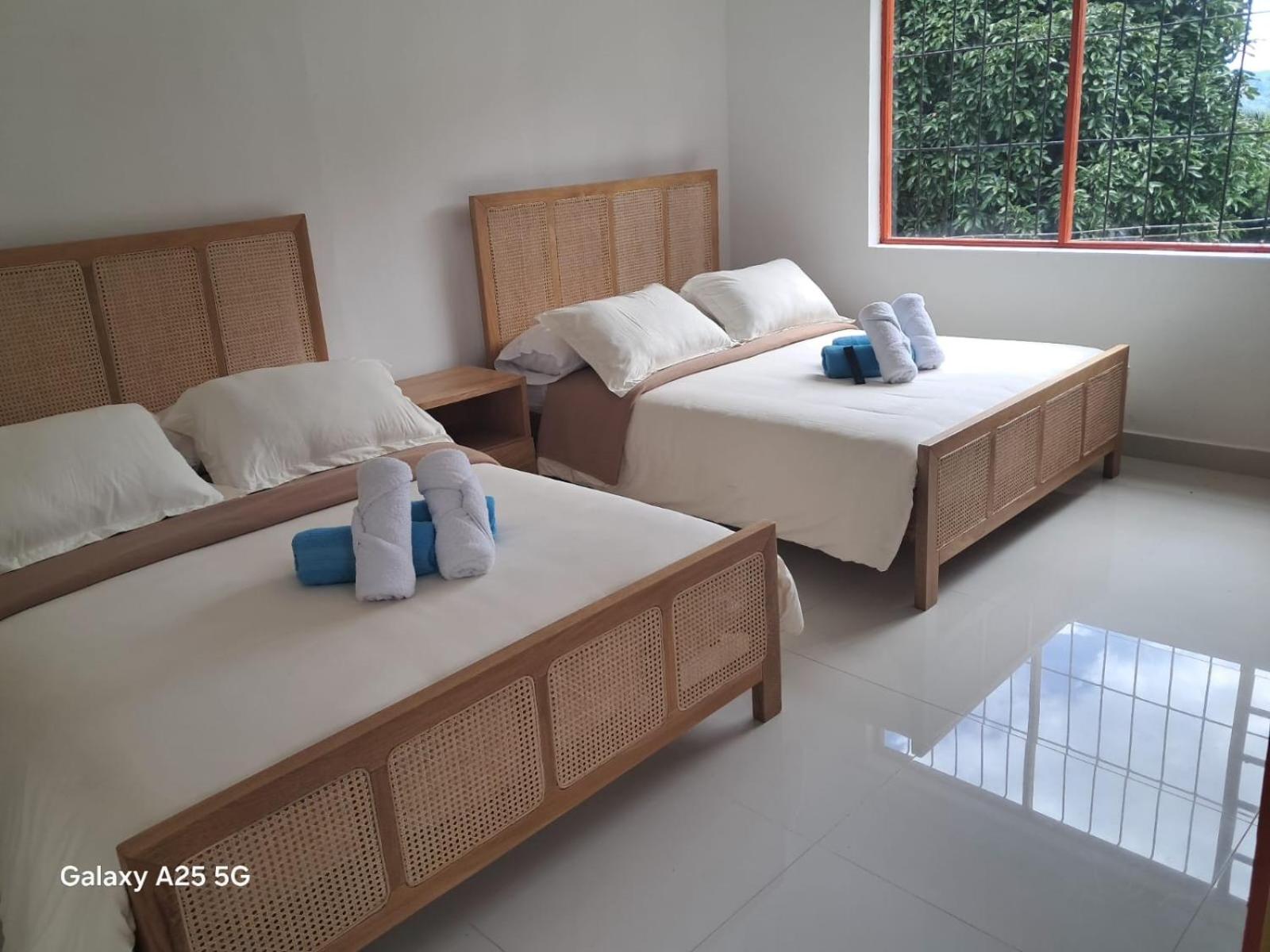 Double or Twin Room photo 3