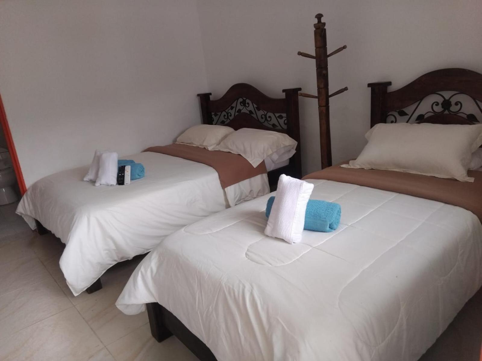 Double or Twin Room photo 2