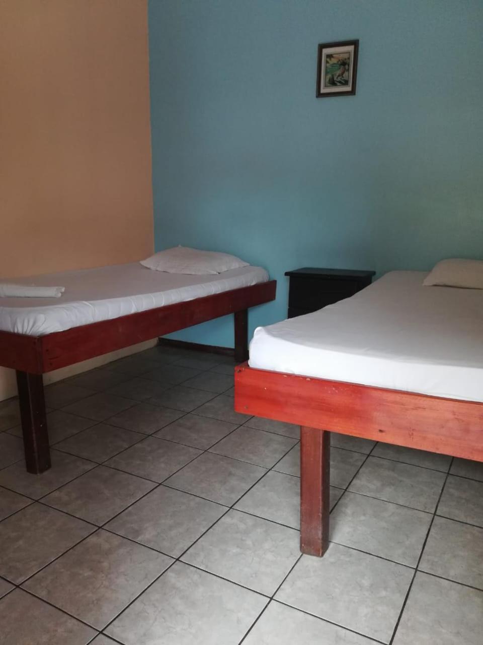 Twin Room photo 2