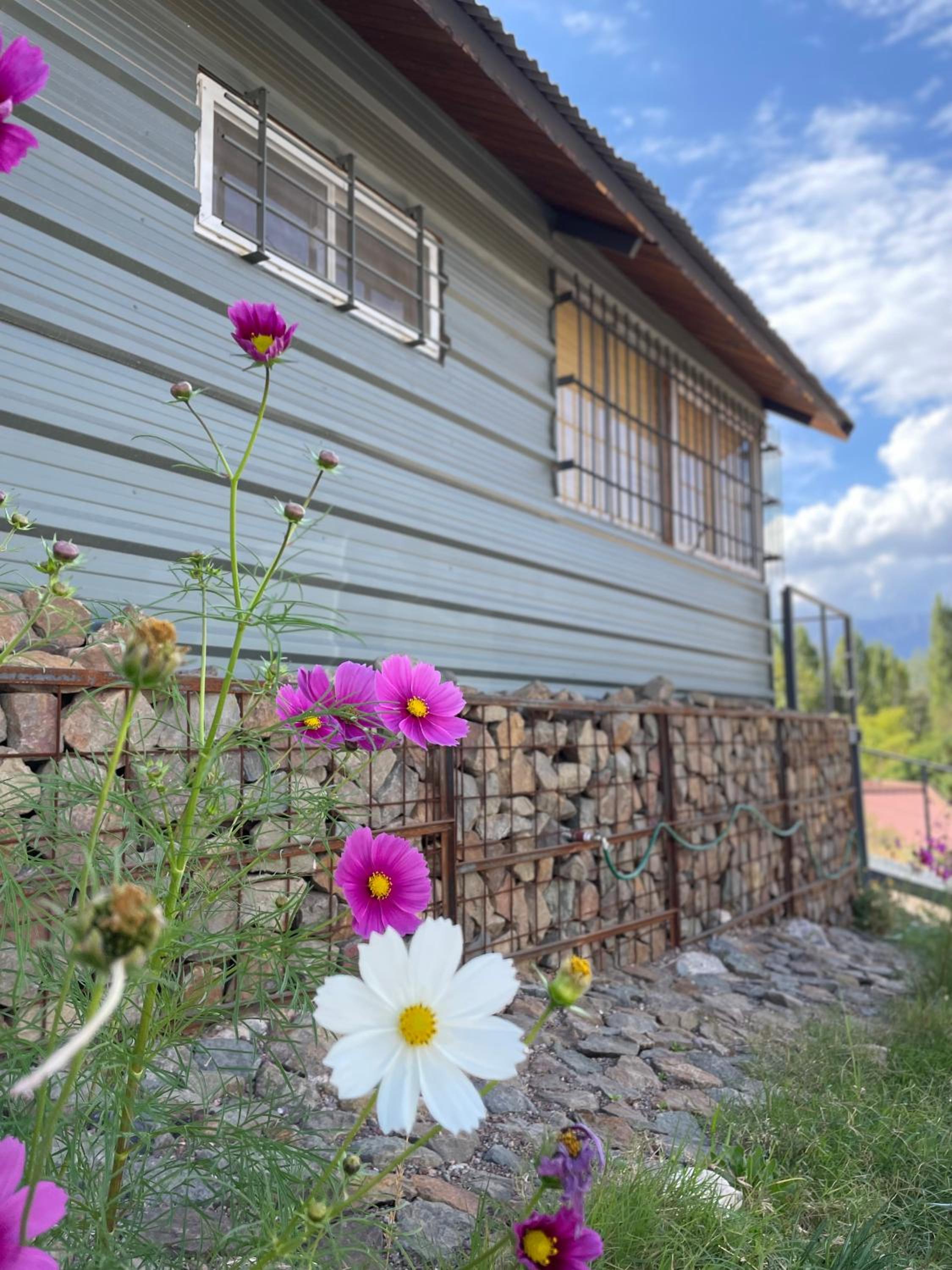 Bungalow photo 2