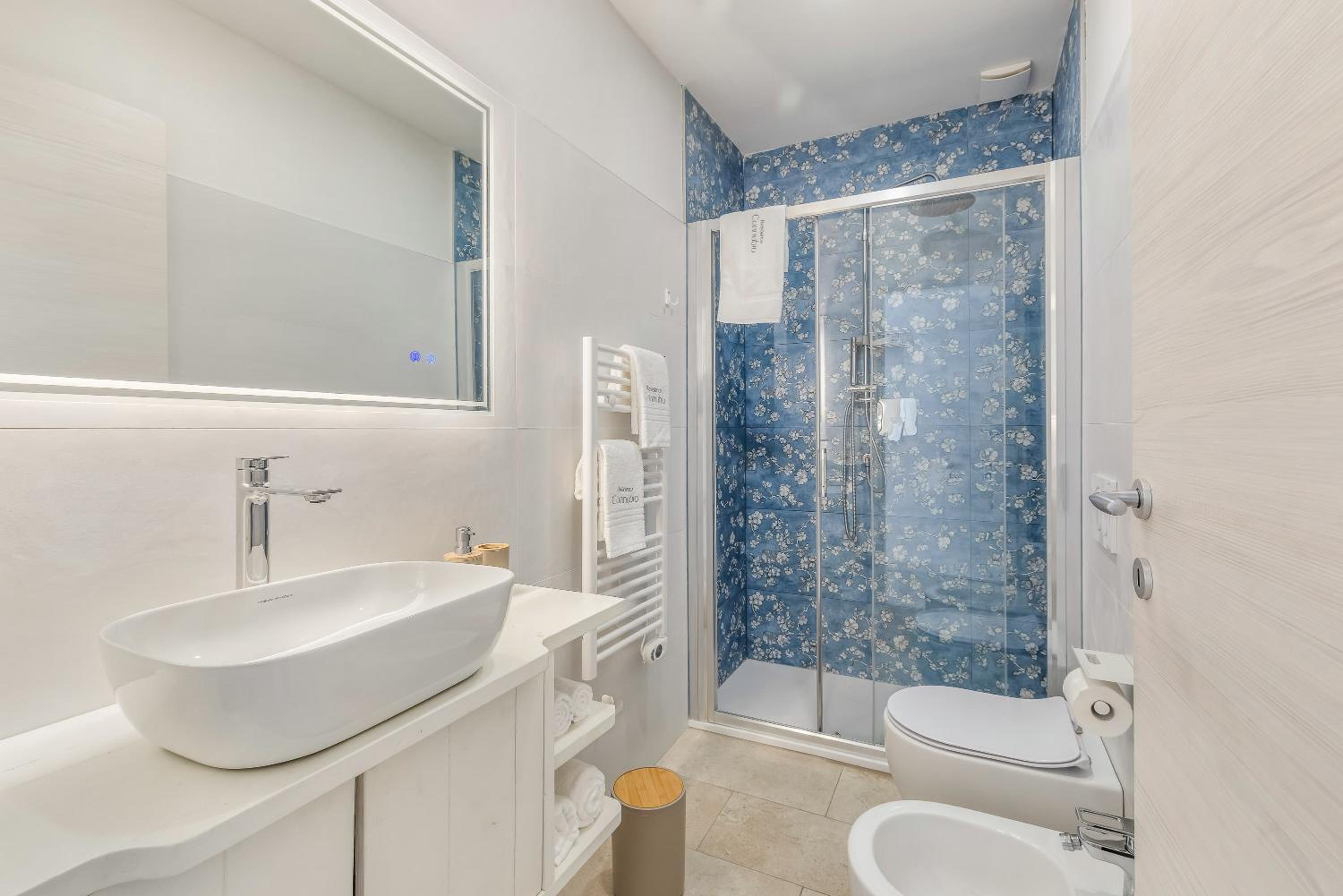 Deluxe Double or Twin Room photo 2