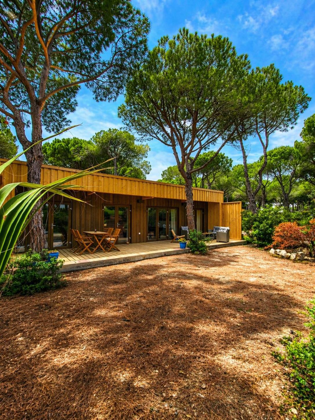 Vacation Home photo 2