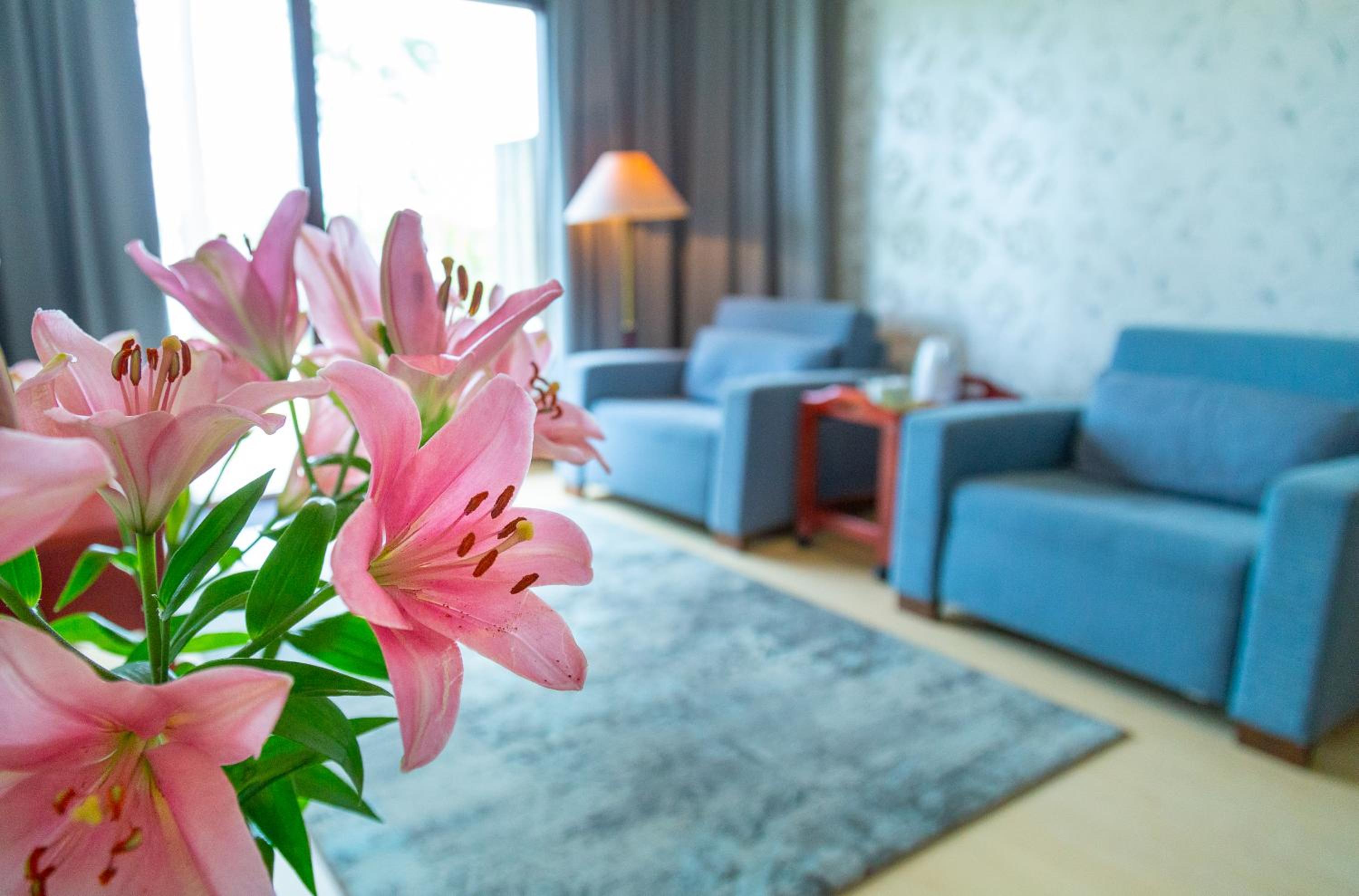 Family Room with Terrace photo 3