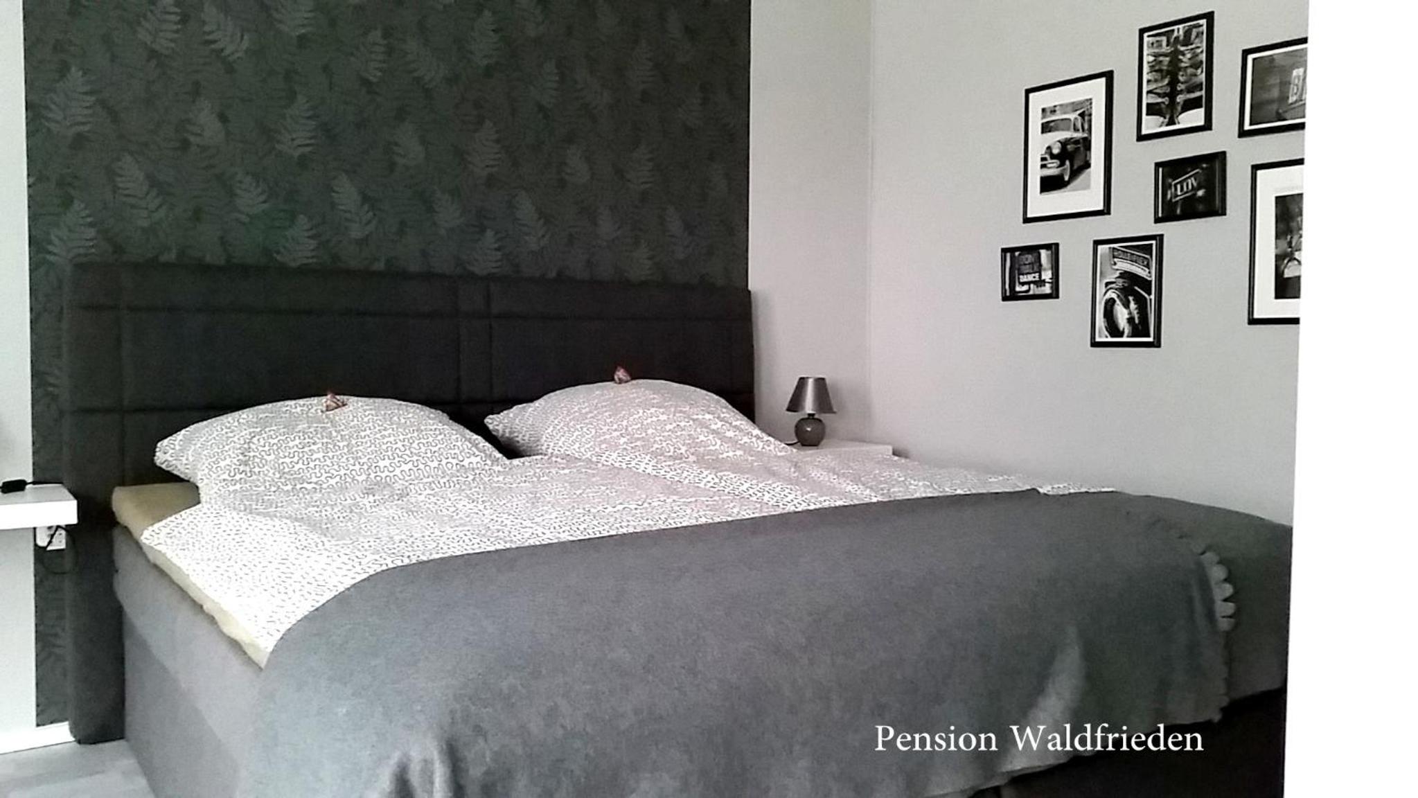 Double or Twin Room photo 3