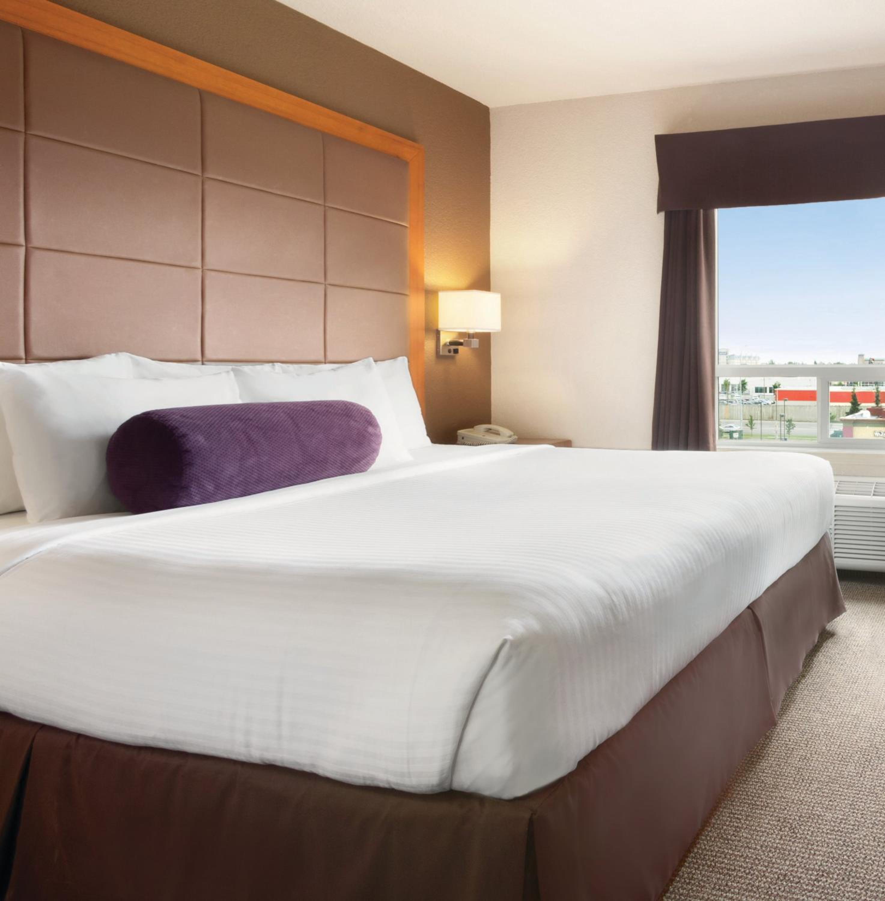 Premium King Room with Jetted Bath - Photo 3