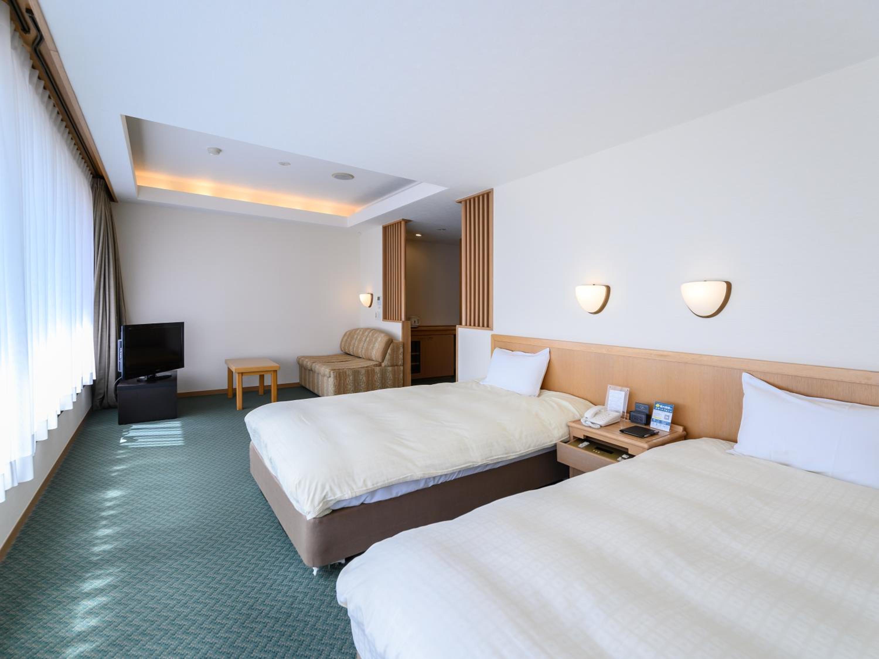 Twin Room - Disability Access