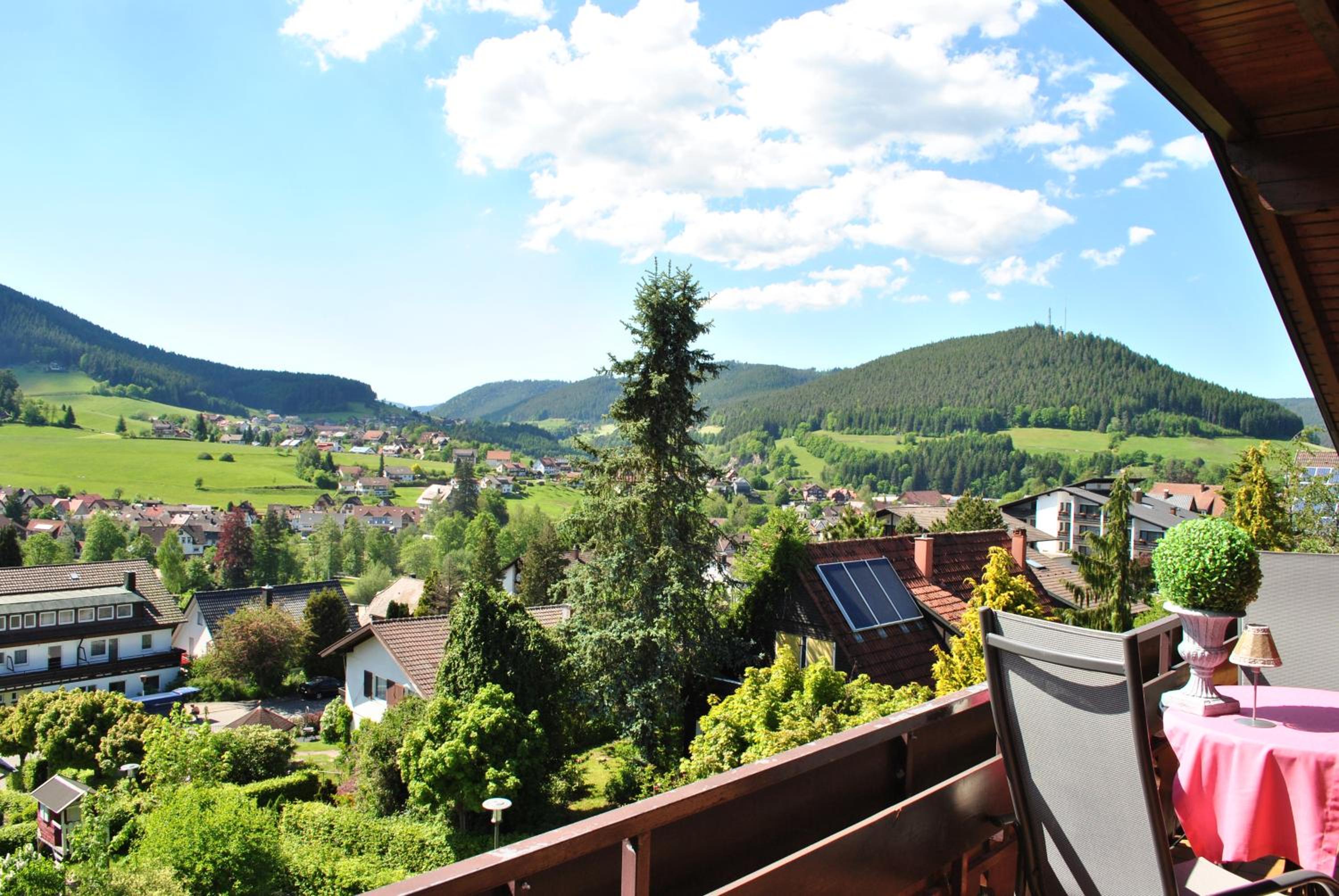 One-Bedroom Apartment with Balcony and Mountain View