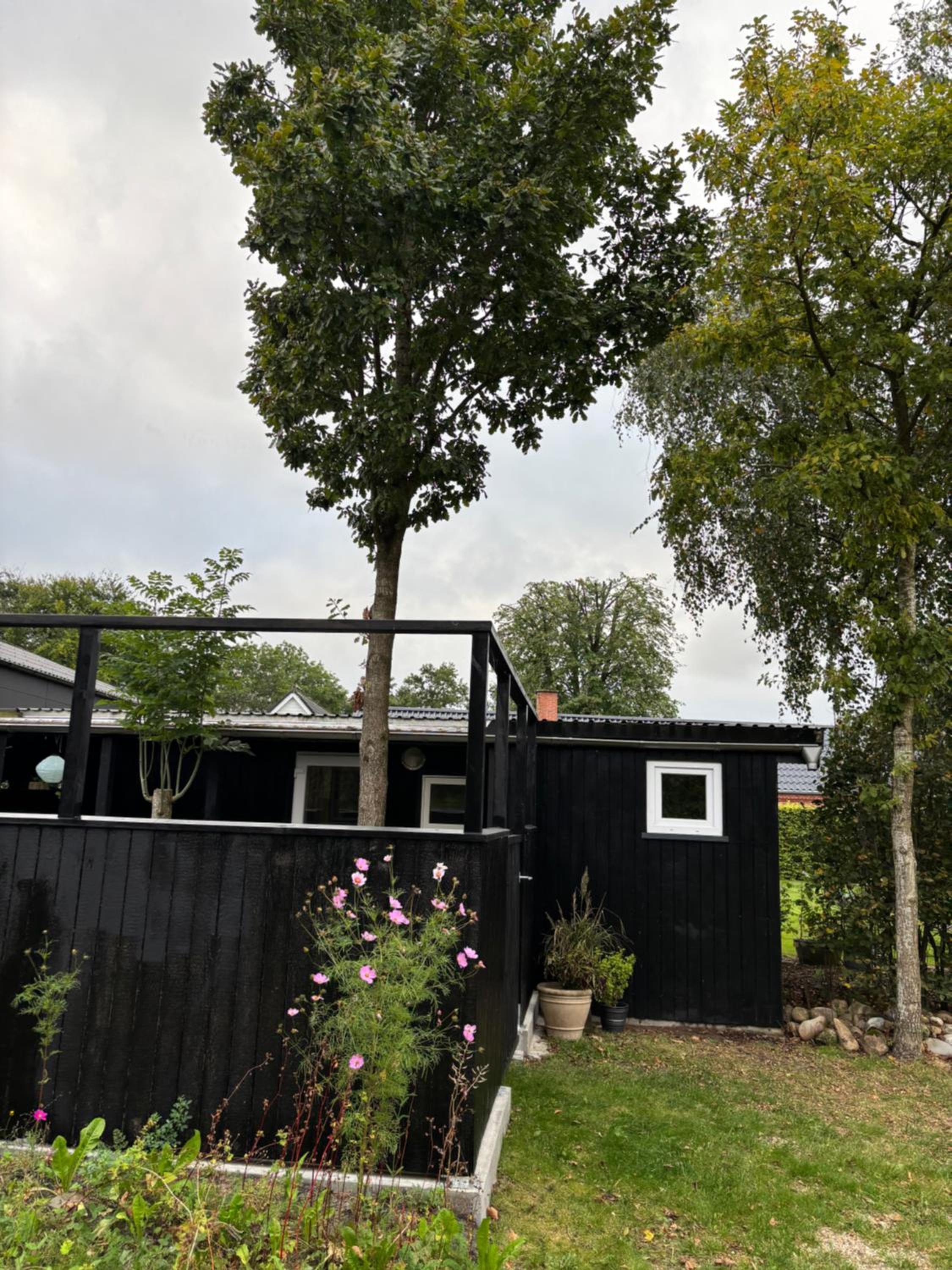 Cottage