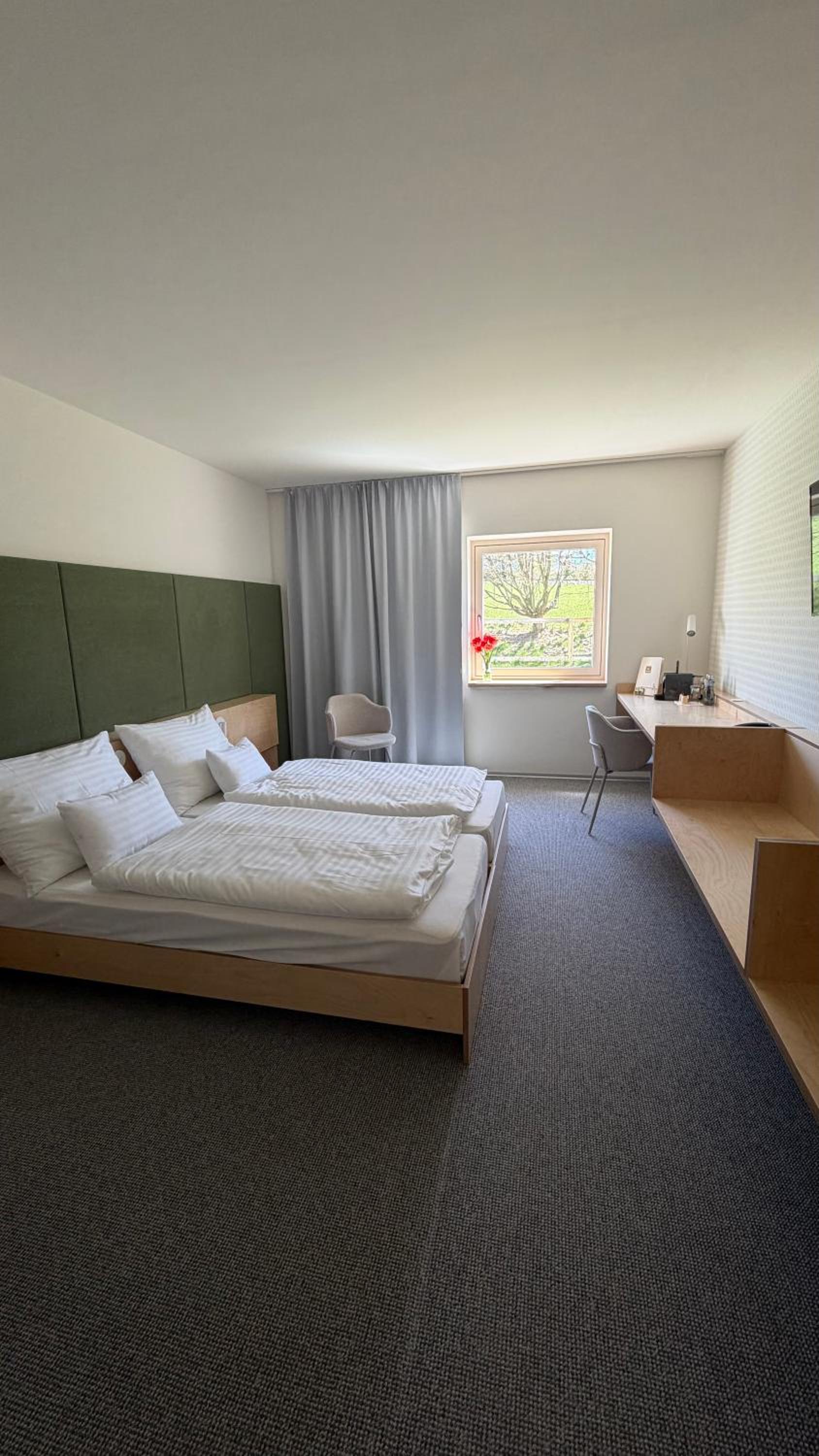 Deluxe Double or Twin Room photo 1