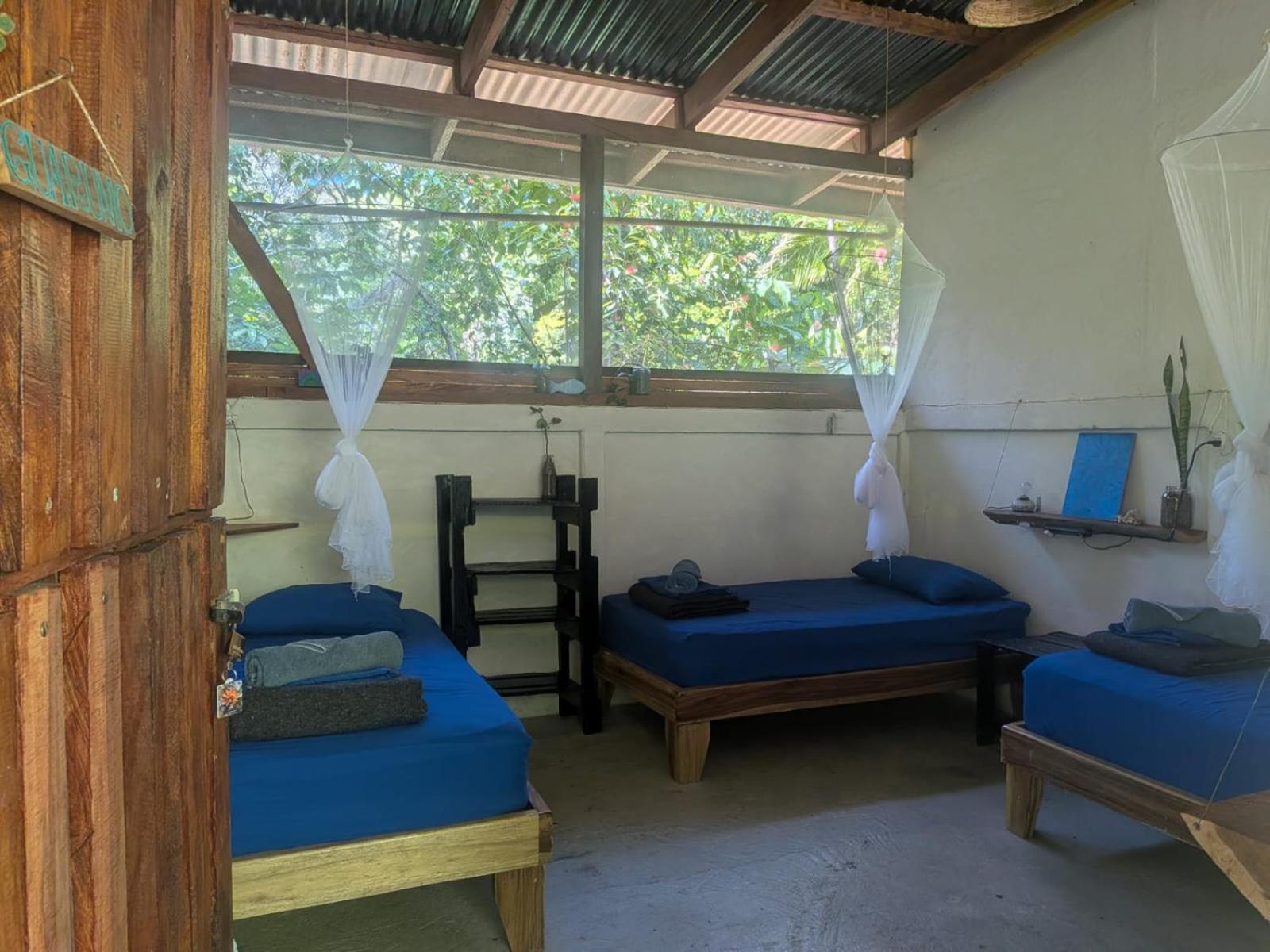 Triple Room with Shared Bathroom photo 3