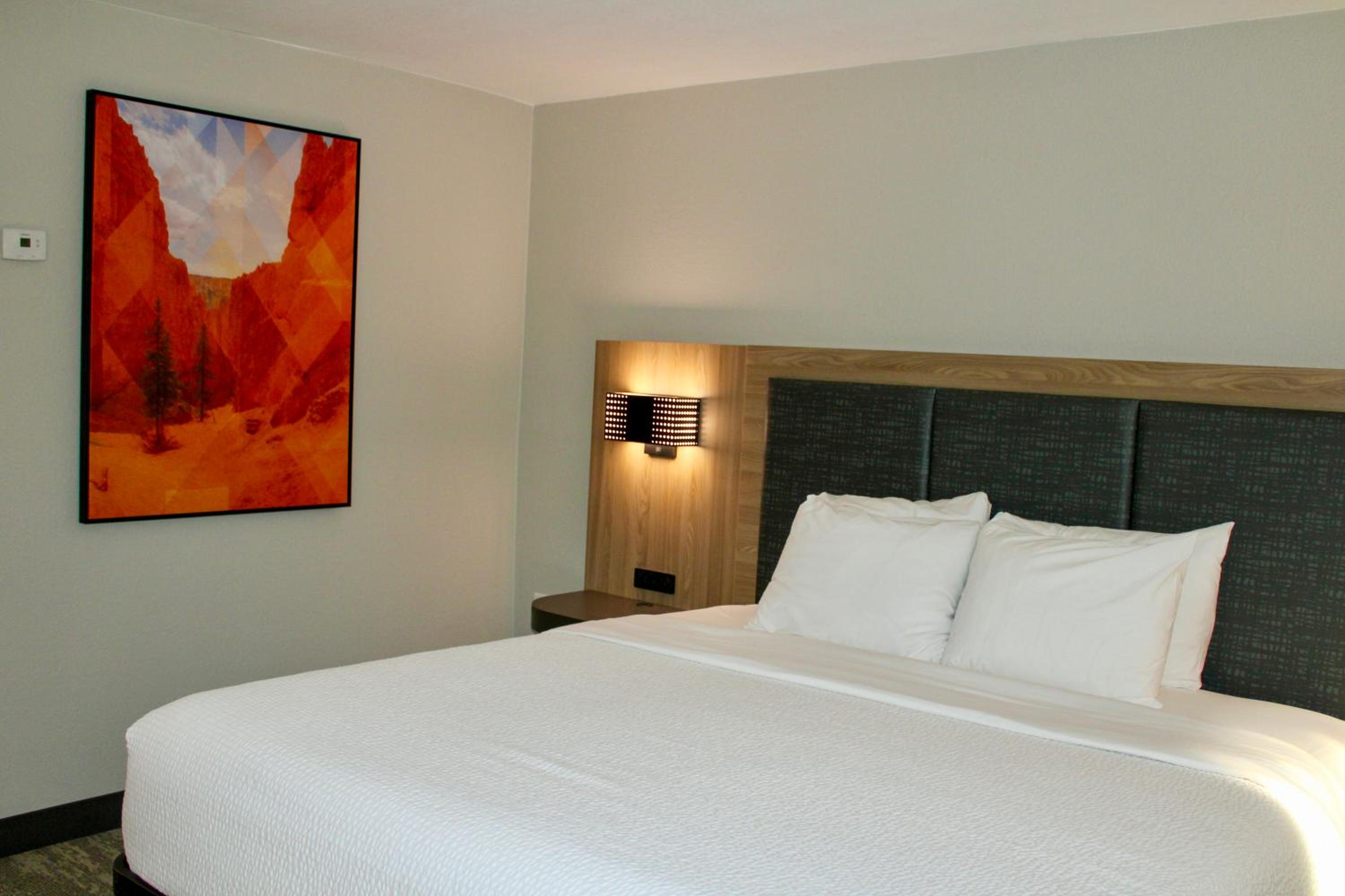 Quadruple Room with Two Queen Beds - Non Smoking/Pet Friendly