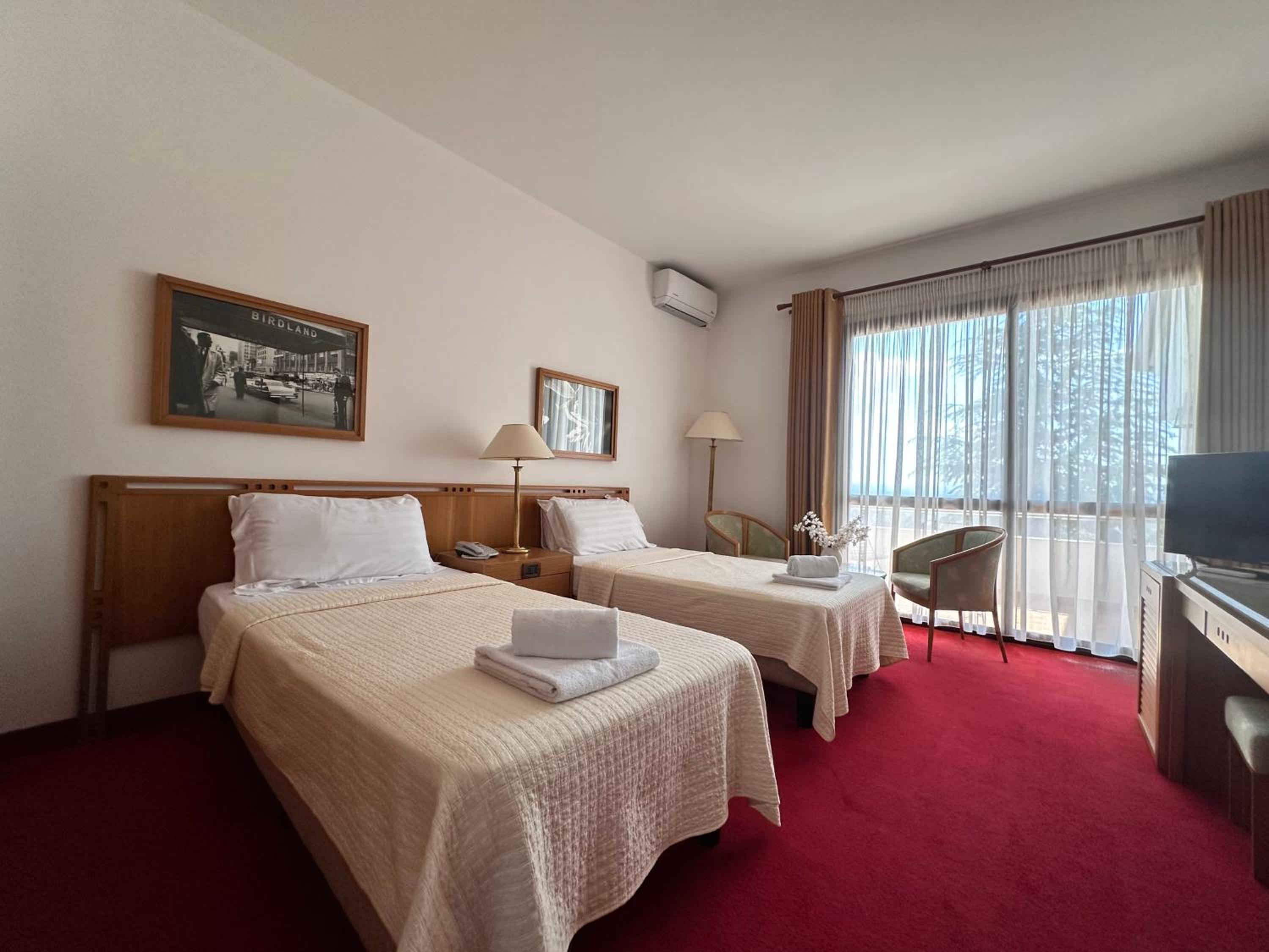 Standard Twin Room with Mountain View