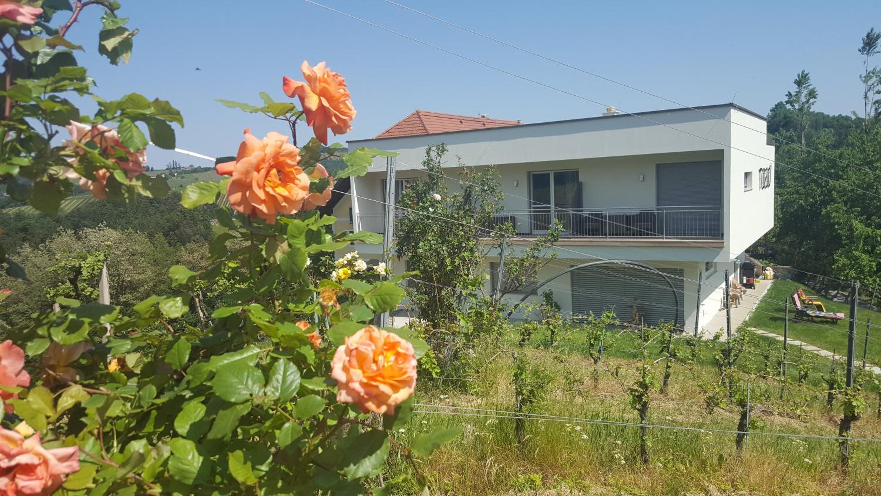 Deluxe Double or Twin Room with Balcony photo 3