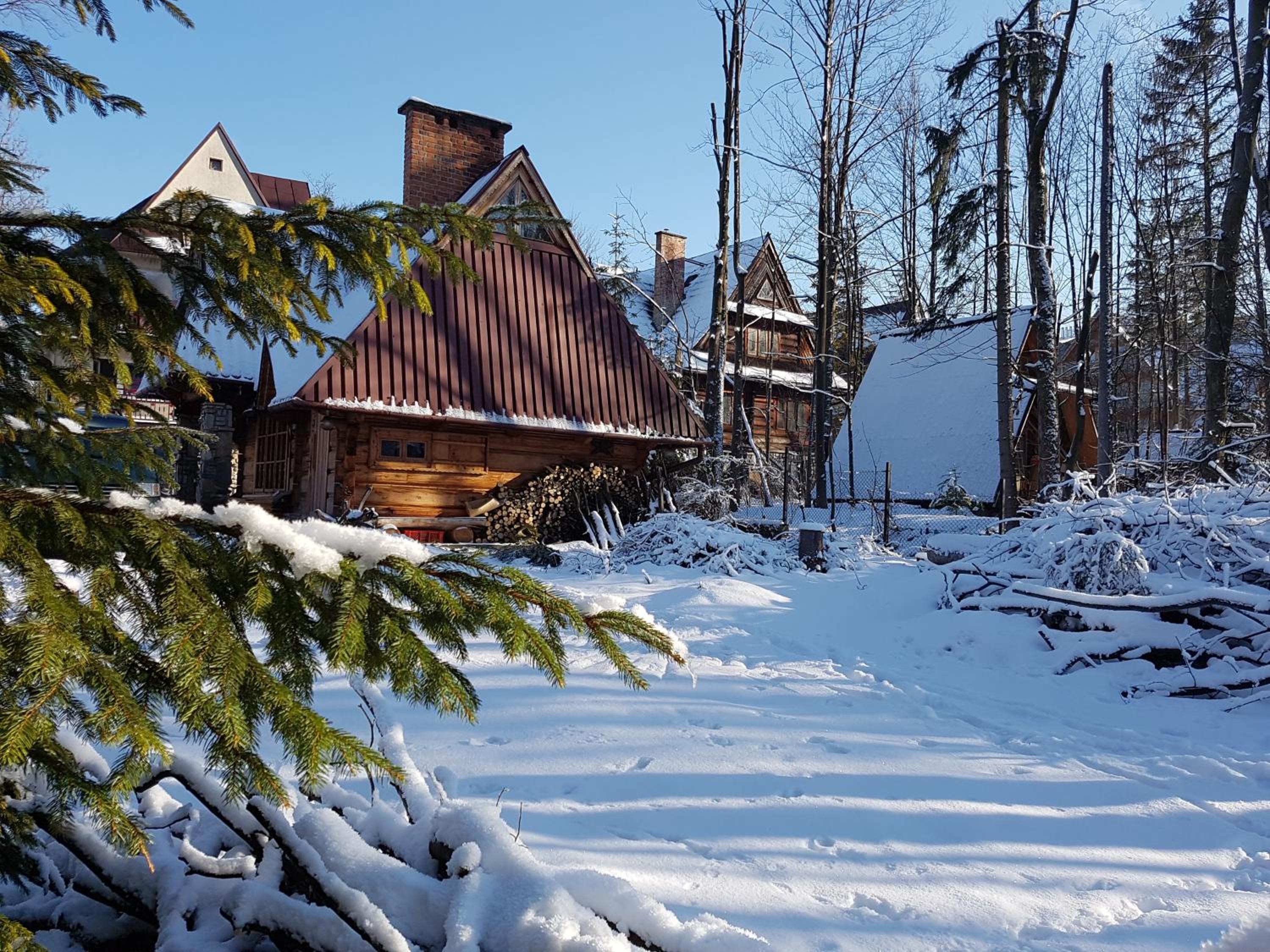One-Bedroom Chalet - Photo 8