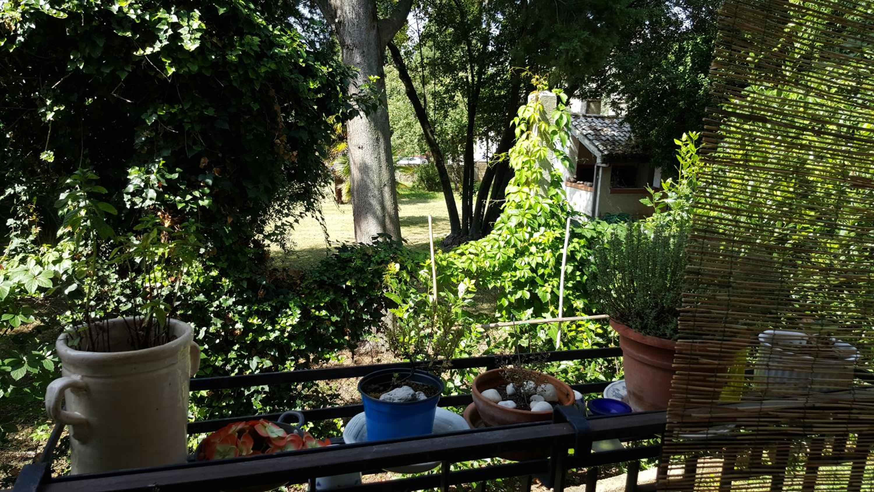 Family Suite with Balcony photo 3