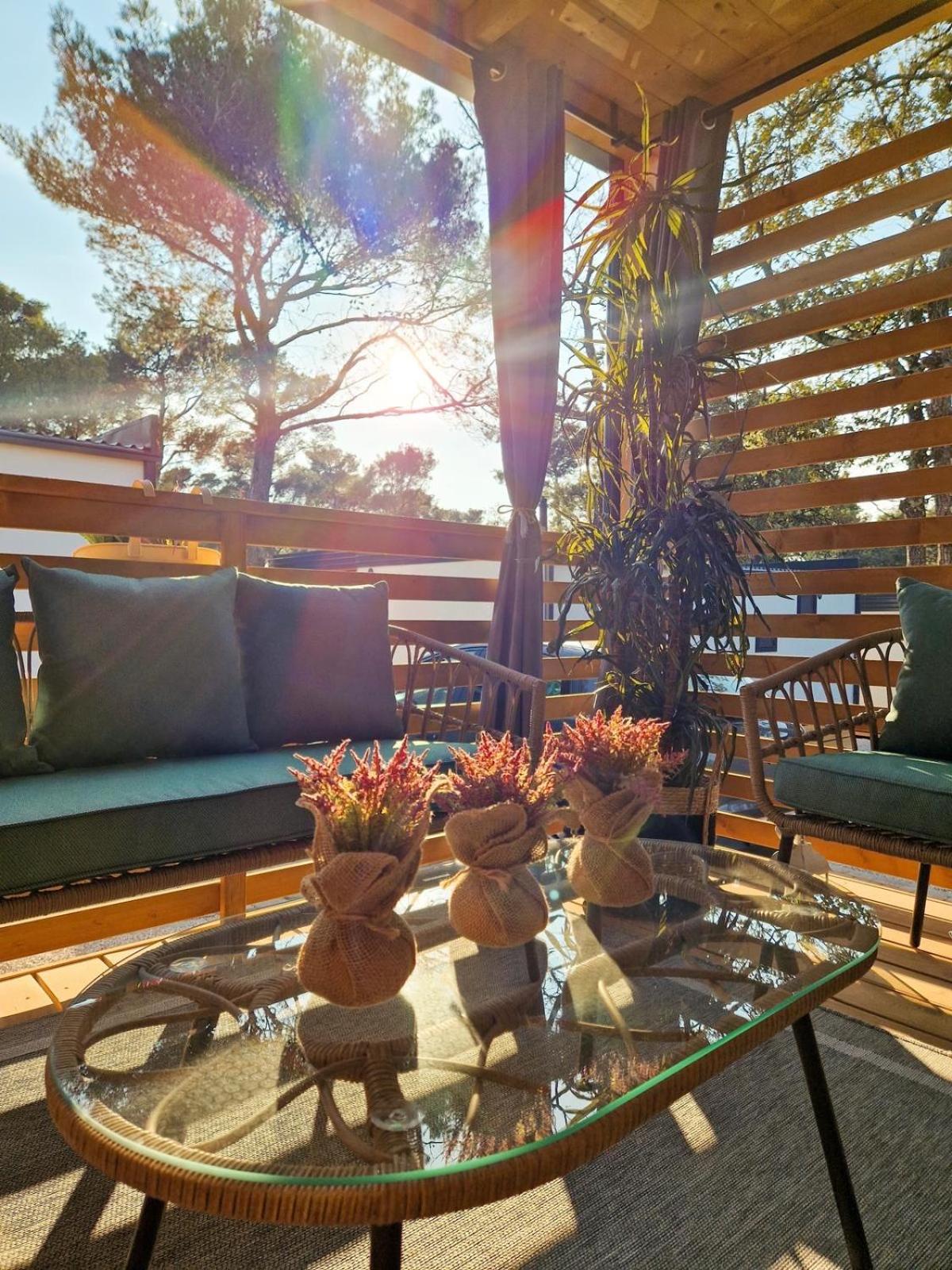 Mobile Home photo 3