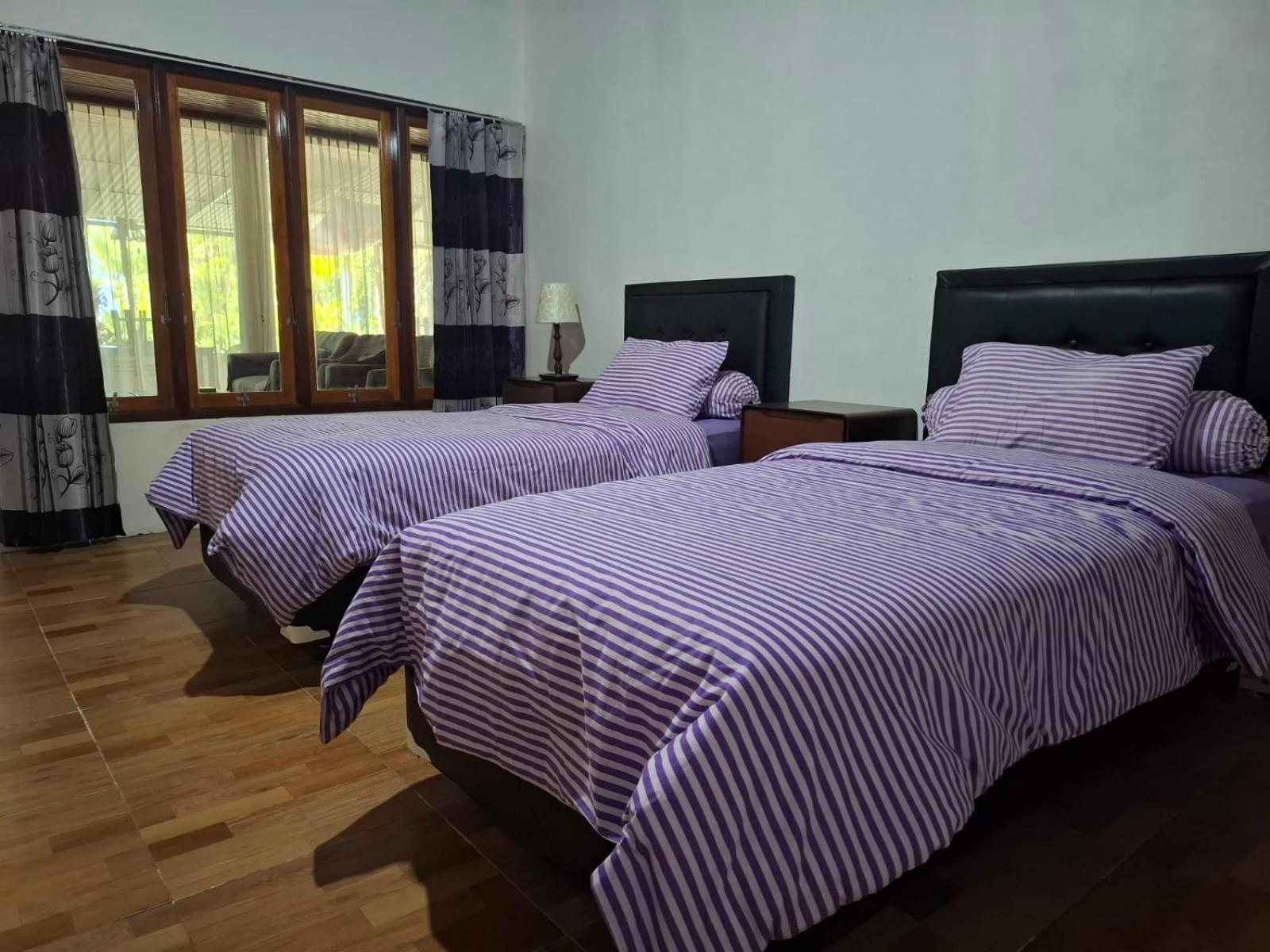 Twin Room photo 3