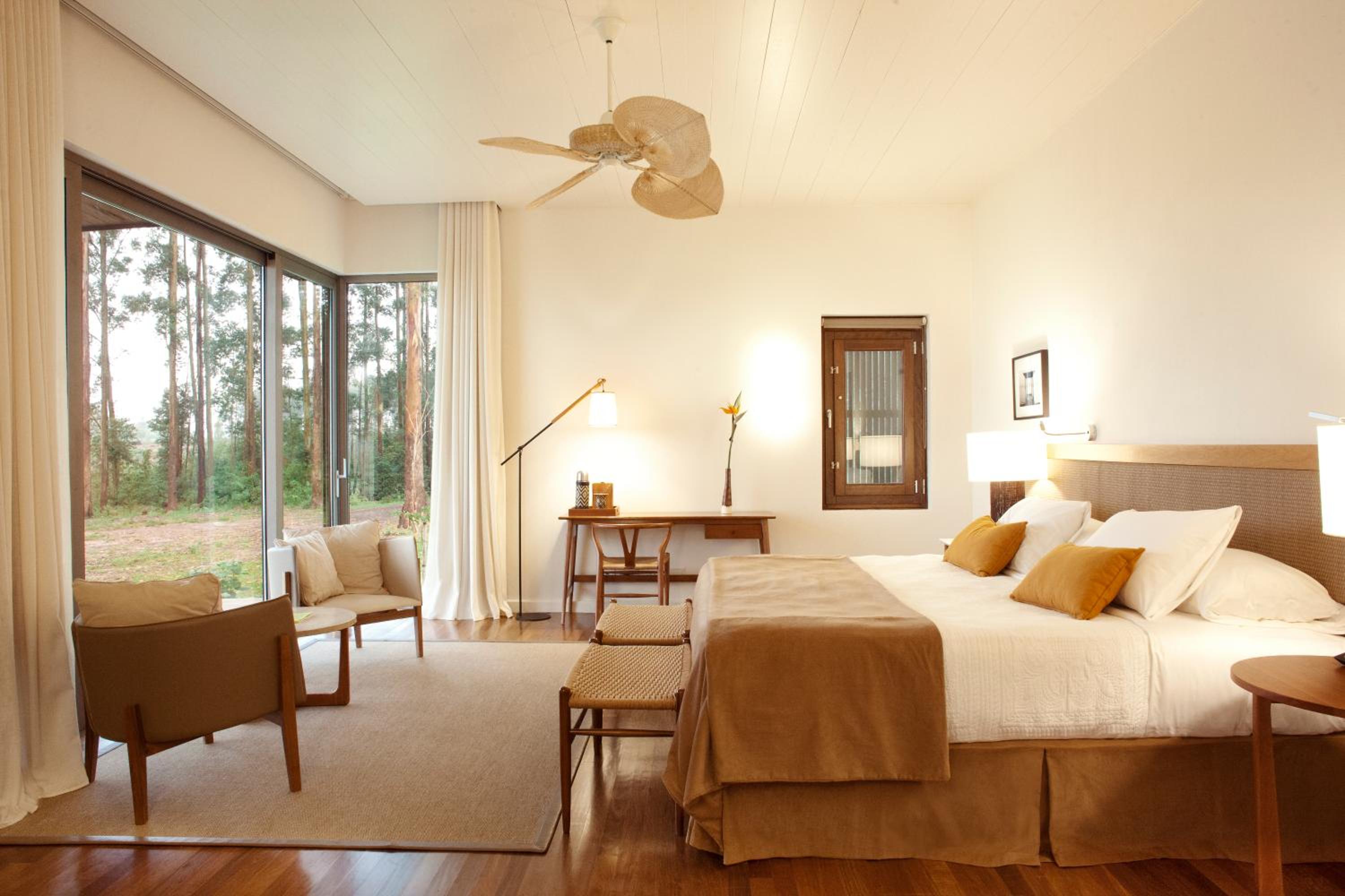 Deluxe Room photo 3