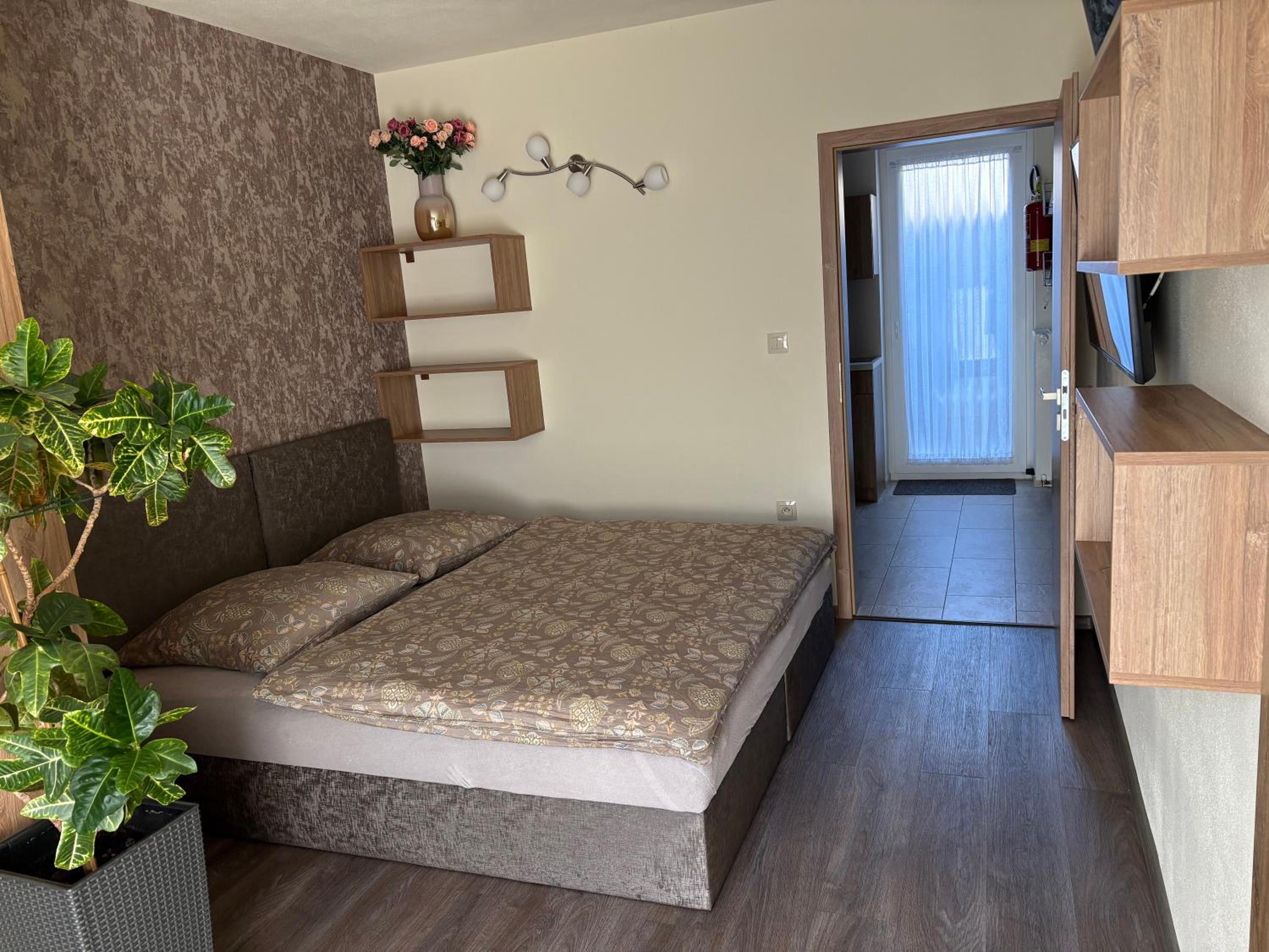 Two-Bedroom Apartment with Terrace photo 3