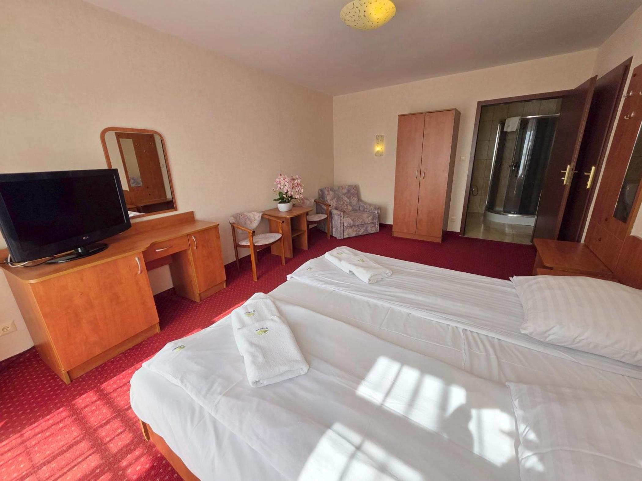 Large Double Room photo 3