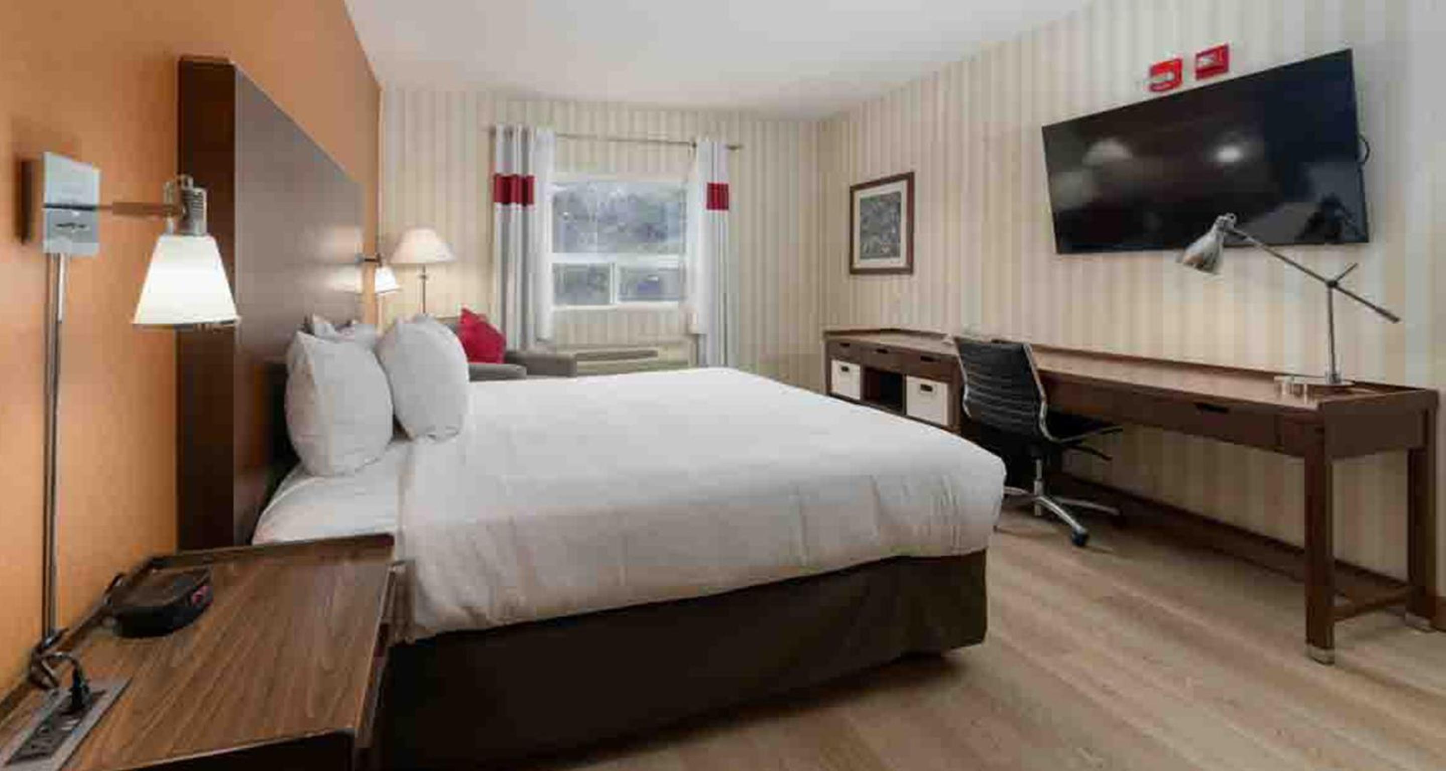 King Room - Disability Access photo 3
