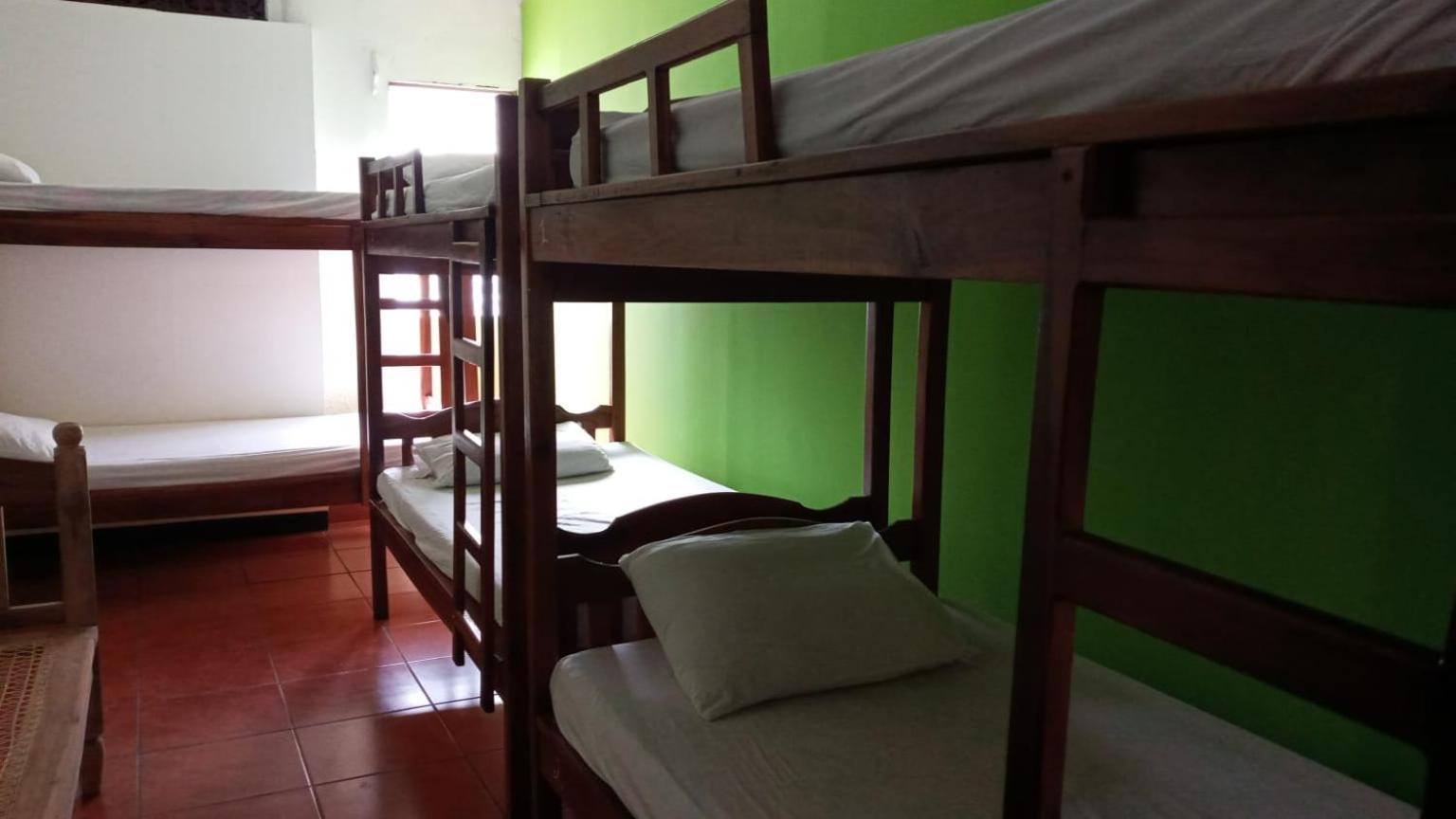 Bunk Bed in Mixed Dormitory Room photo 1