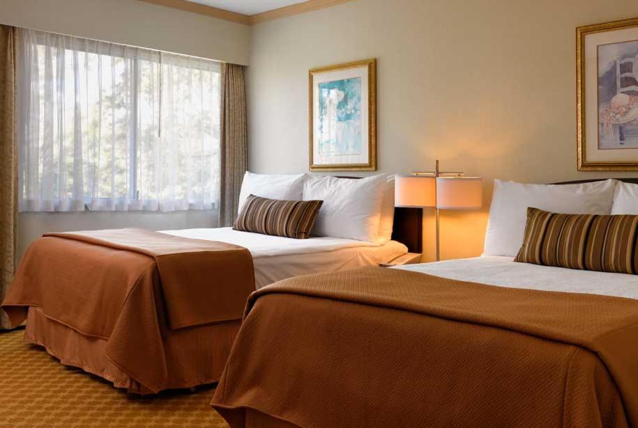 Queen Room with Two Queen Beds - Non-Smoking photo 3