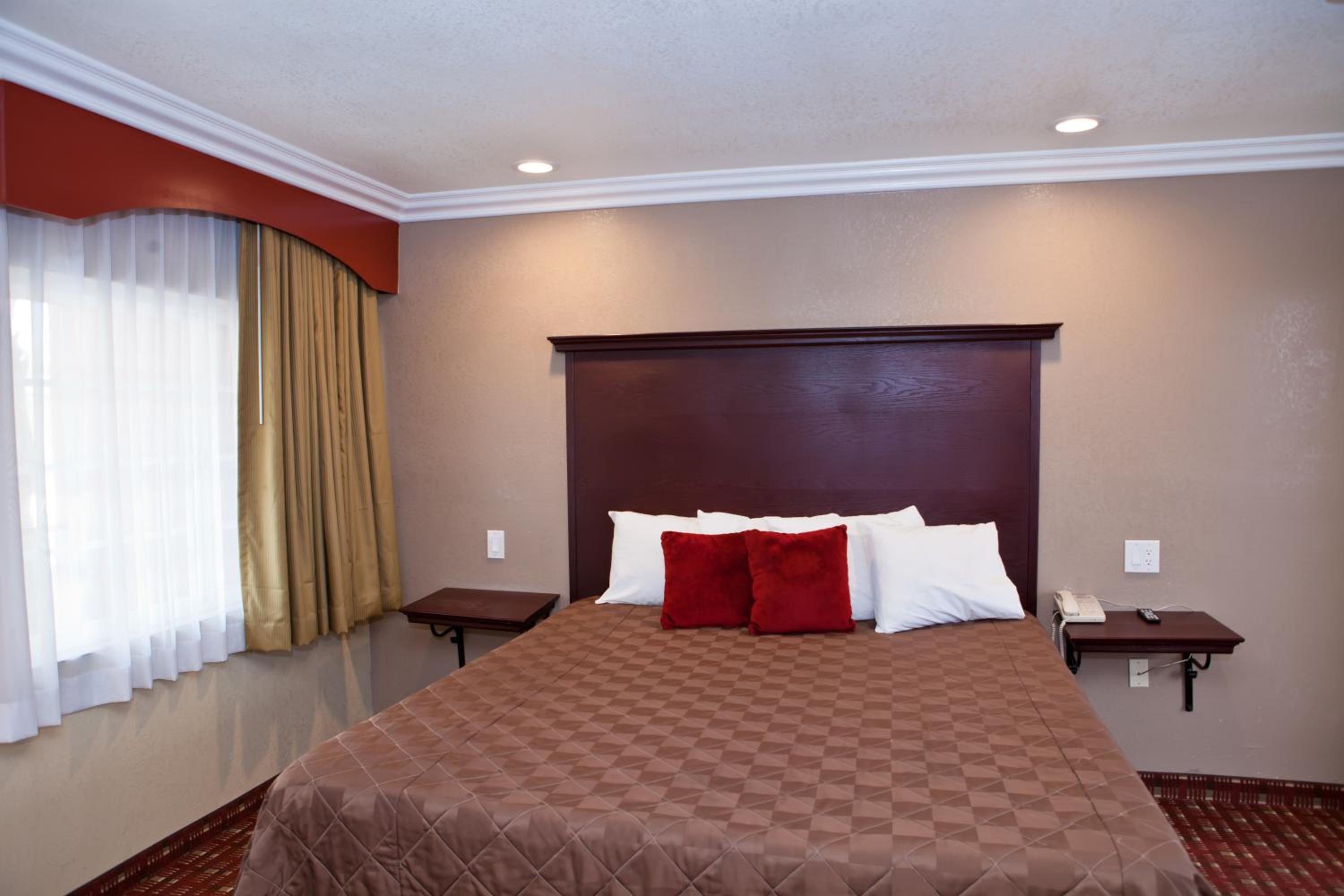 King Room photo 1