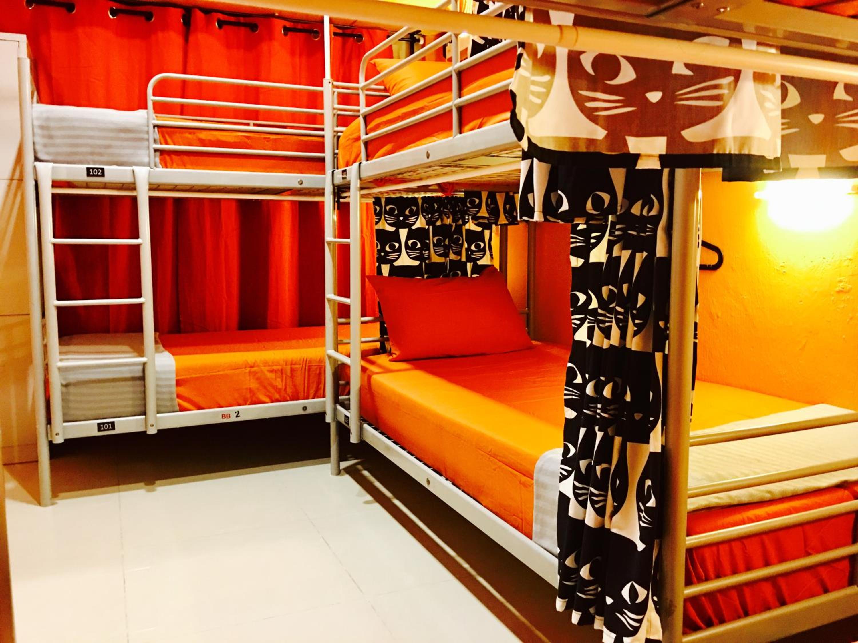 Standard bed in 6 beds mixed dormitory photo 1