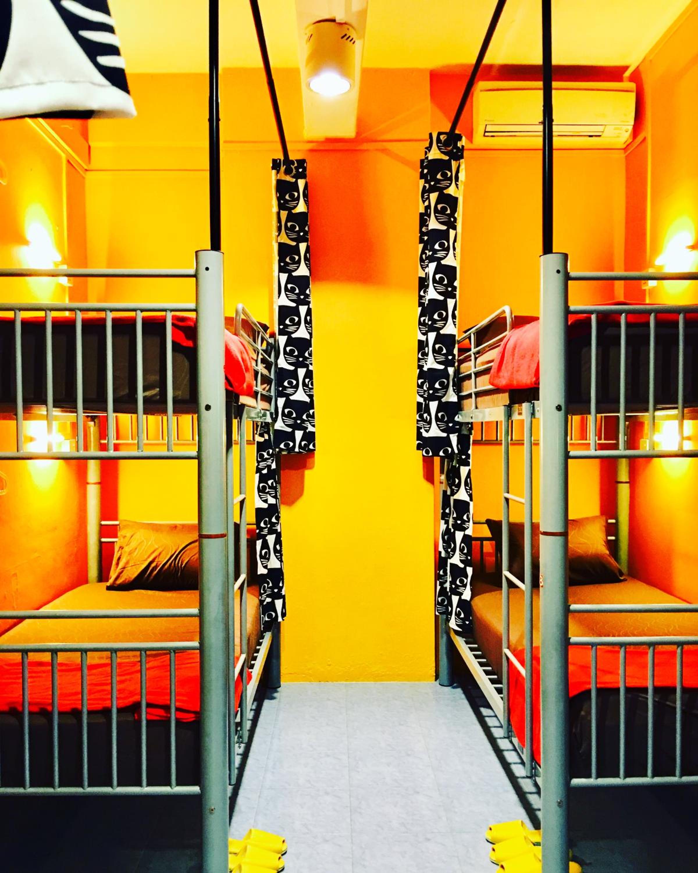 Standard bed in 8 beds mixed dormitory photo 1