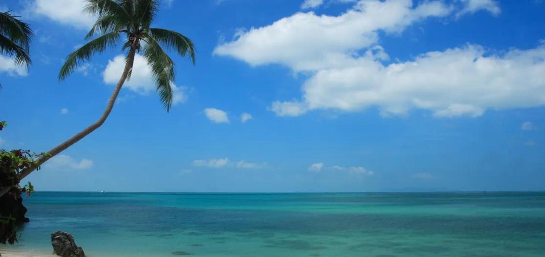 Villa with Sea View photo 2