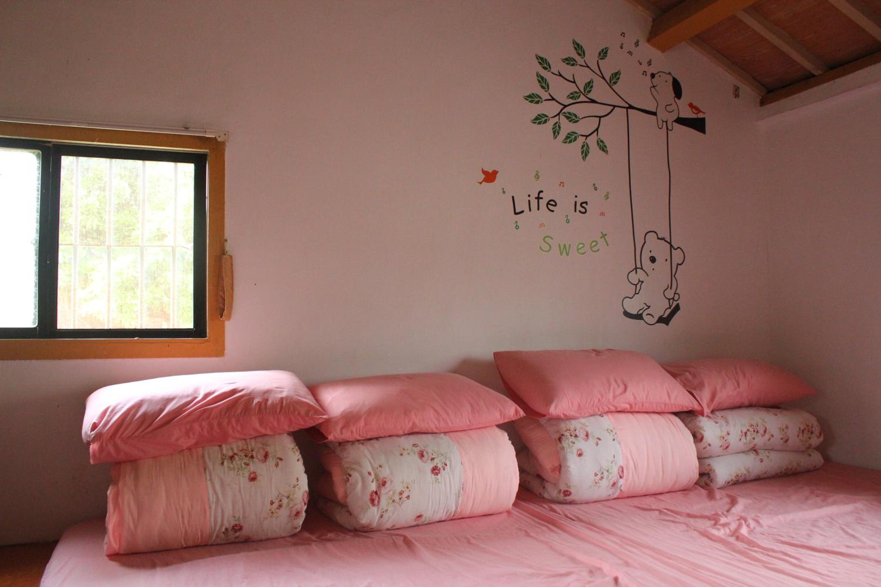 Family Room photo 3