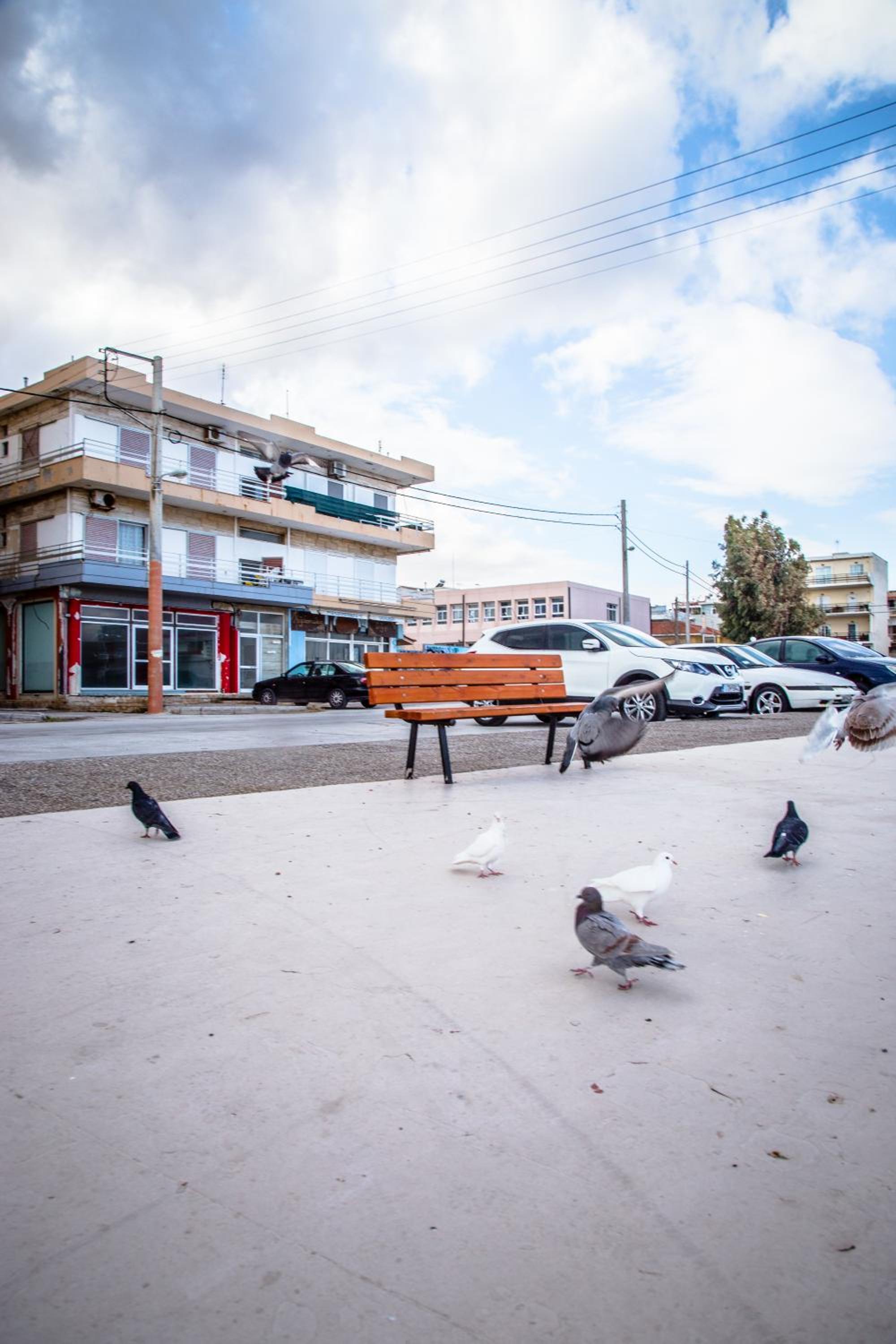 Sea View Apartment near Athens Airport - Photo 24