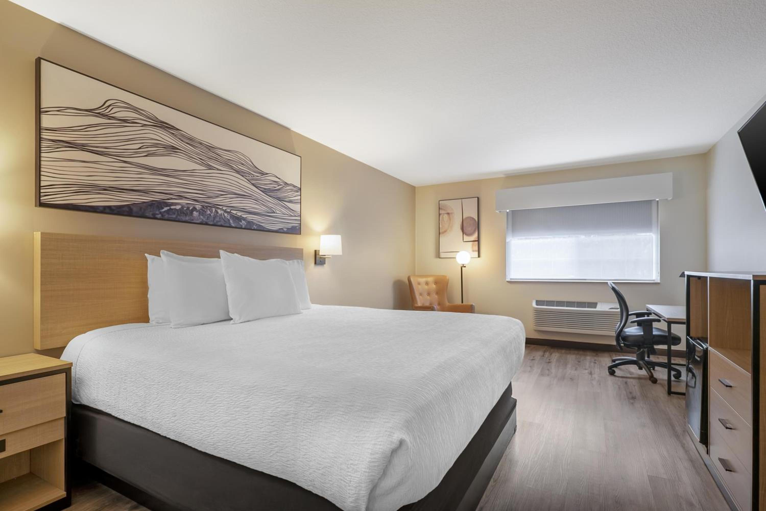 King Room - Photo 1