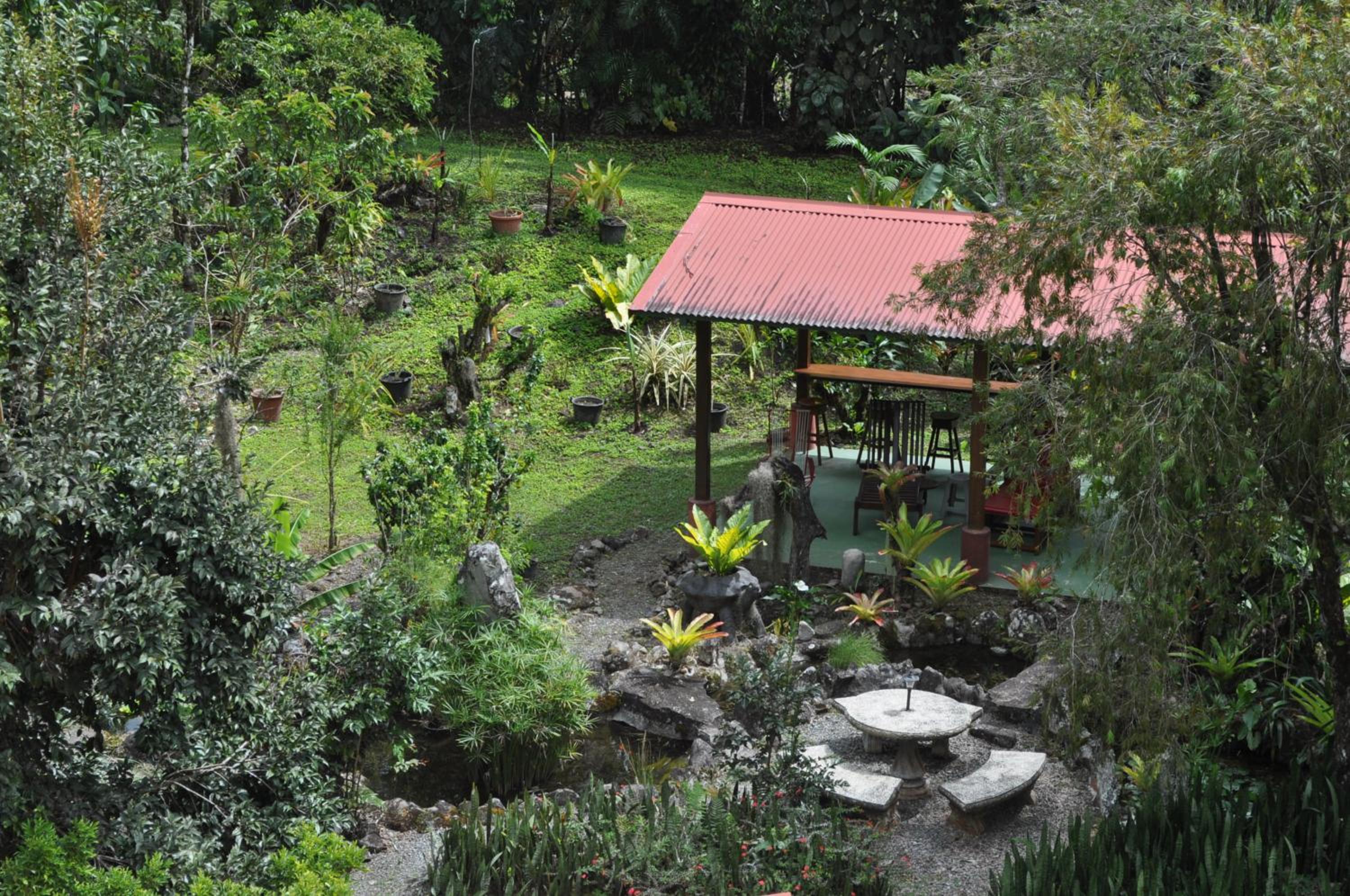 Double Room with Garden View photo 2
